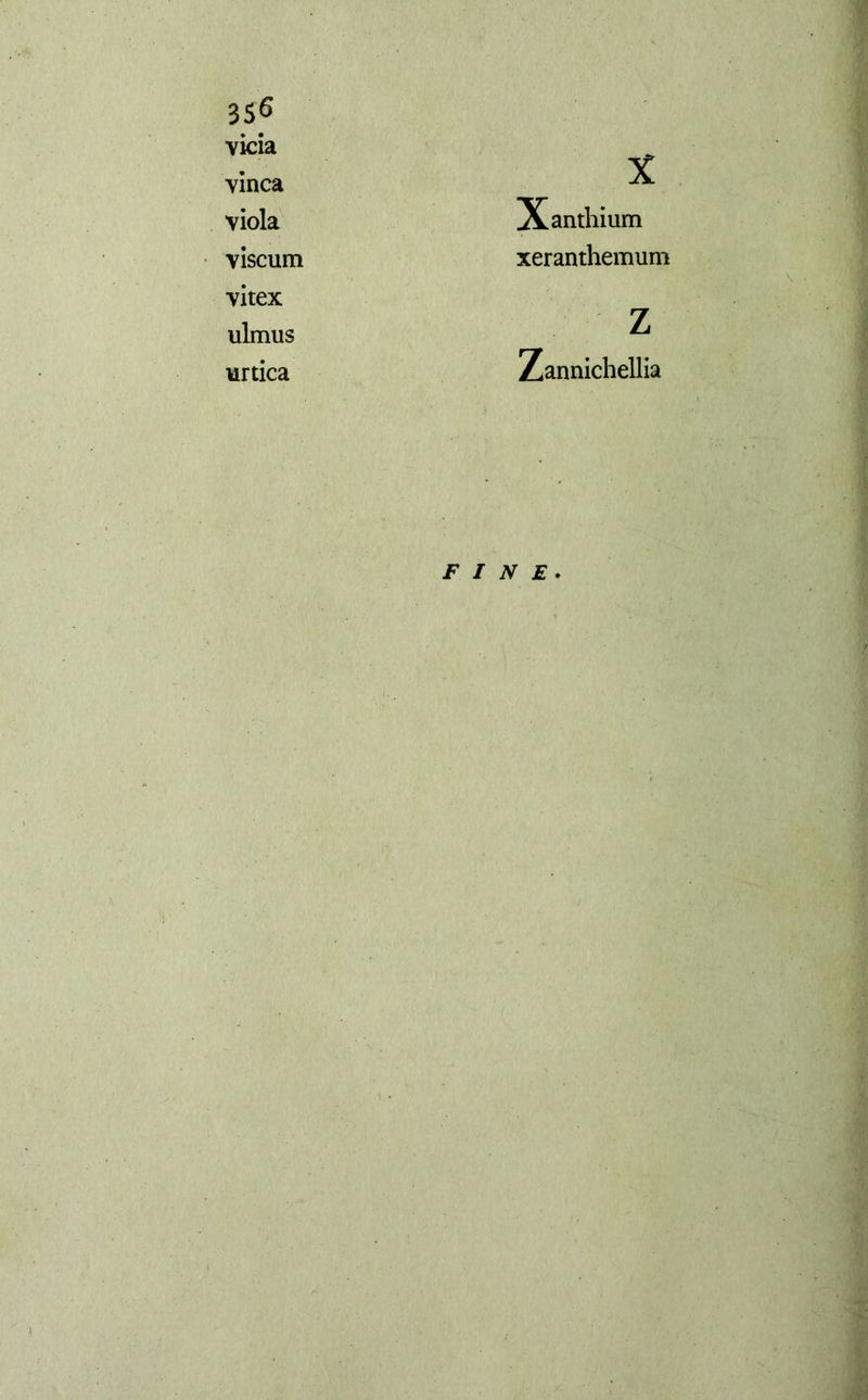 vicia X vinca viola Xanthium viscum xeranthemum vitex ulmus L artica Zannichellia FINE.