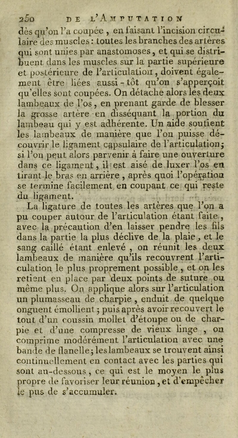 dès qu’pu ï’a coupée , en faisant l’incision circu- laire des muscles : toutes les branches des artères qui sont unies par anastomoses, et qui se distri- buent dans les muscles sur la partie supérieure et postérieure de l’articulation, doivent égale- ment être liées aussi - tôt qu’on s’apperçoit qu’elles sont coupées. On détache alors les deux lambeaux de l’os, en prenant garde de blesser la grosse artère en disséquant la portion du lambeau qui y est adhérente. Un aide soutient les lambeaux de manière que l’on puisse dé- couvrir le ligament cgpsulaire de l’articulation j si l’on peut alors parvenir à faire une ouverture dans ce ligament, il est aisé de luxer l’os en tirant.le bras en arrière , après quoi l’opération se termine facilement en coupant ce qui reste du ligament. La ligature de toutes les artères que l’on a pu couper autour de l’articulation étant faite , avec la précaution d’en laisser pendre les fils dans la partie la plus déclive de la plaie et le sang caillé étant enlevé , on réunit les deux lambeaux de manière qu’ils recouvrent l’arti- culation le plus proprement possible , et on les retient en place par deux points de suture ou même plus. On applique alors sur l’articulation un plumasseau de charpie , enduit de quelque onguent émollient -, puis après avoir recouvert le tout d’un coussin mollet d’étoupe ou de char- pie et d’une compresse de vieux linge , on comprime modérément l’articulation avec une bande de flanelle -, les lambeaux se trouvent ainsi continuellement en contact avec les parties qui sont au-dessous , ce qui est le moyen le plus propre de favoriser leur réunion ,et d’empêcher le pus de s’accumuler.