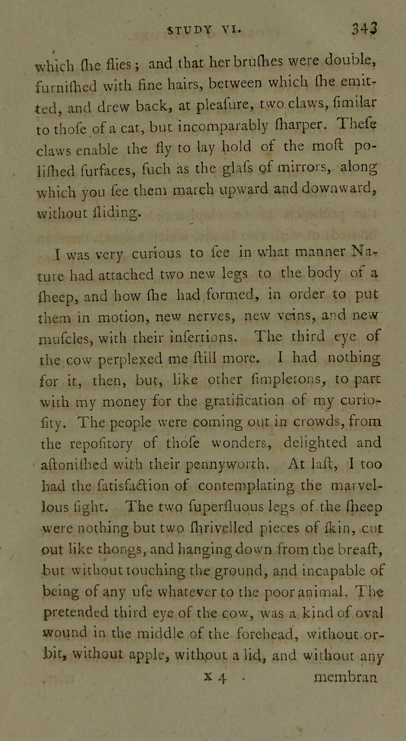 which (lie flies; and that herbrufhes were double, furnilhed with fine hairs, bervveen which fhe emit- ted, and drew back, at pleafure, two claws, fimilar to thofe of a cat, but incomparably fhaiper. Xnefe claws enable the fly to lay fiold of the moft po- liflied. furfaces, fuch as the glafs of mirrors, along which yon fee them match upward and downward, without fliding. I was ver y curious to fee in what manner Na^ ture had attached two nevv legs to the body of a fheep, and hovv fhe had.formed,, in order to put them in motion, new nerves, new veins, and new mufcles, with their infertions. The third eye of the cow perplexed me flill more. I had nothing for it, then, but, like other fimpletons, to part with my money for the gratification of my curio- fity. The people were çoming ont in crowds, from the repofitory of thofe wonders, delighted and aftonifhed with their pennyworth. At laft, I too had the fatisfadion of contemplating the mai vel- lous fight. The two fuperfluous legs of the fneep were nothing but two fhrivelled pièces of fîcin, eut out like thongs, and hangingdown from the breaft, but without touching the ground, and incapable of being of any ufe whatever to the poor animal. The pretended third eye of the cow, was a.kindof oval wound in the middle of t'ne forehead, without or- bit, without apple, without a lid, and without any x 4 . membran