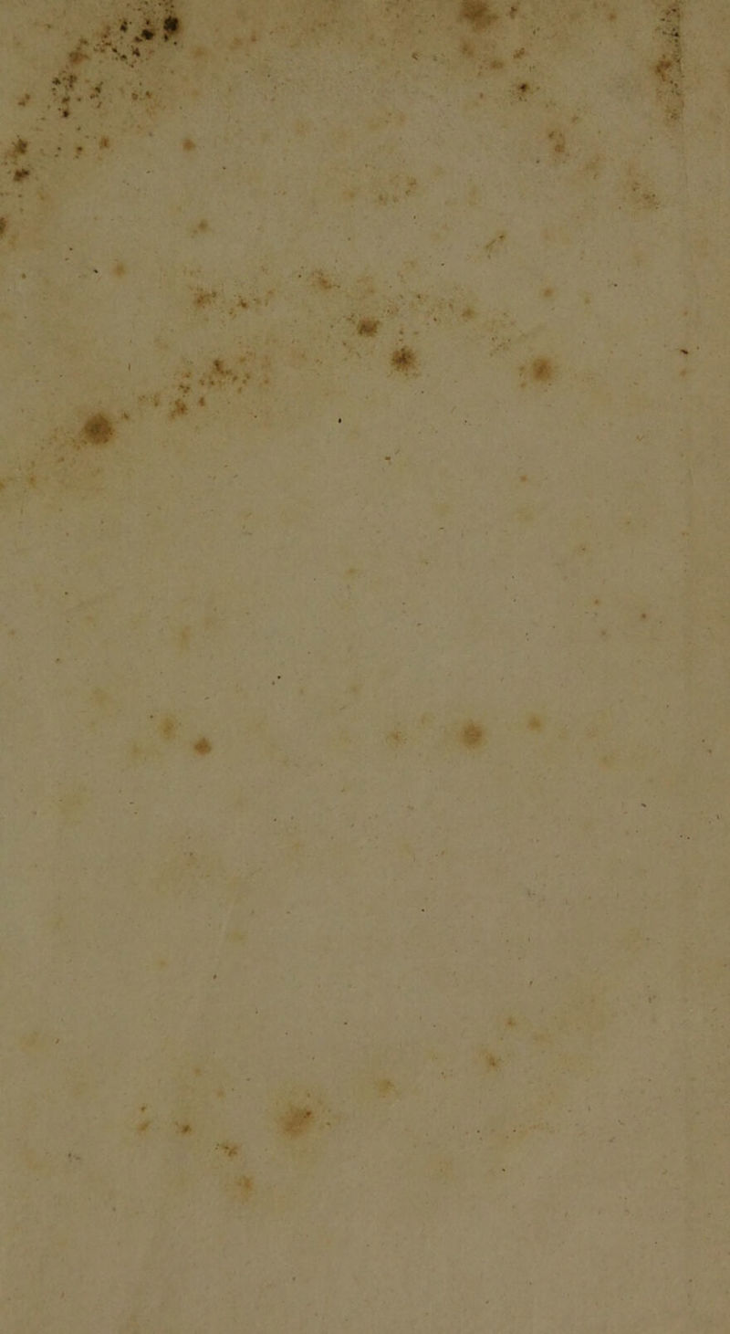 i- • À f &lt; * : r* v , .. * * .jfc : f ' «► •• - . » r / .« tf. &gt; -, ** - •‘ iL • V- • .. .v' ' v. • ••■. ' •“ • y * • &lt;. 4 ' :-• ' » «i •- » #