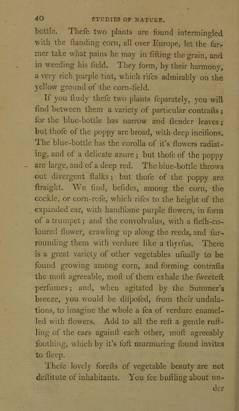 bottle. Thefe two plants arc found intermingled with the ftanding corn, all over Europe, let the farr mer take what pains he may in lifting the grain, and in weeding his field. They form, by their harmony, a very rich purple tint, which rifes admirably on the yellow ground of the corn-field. If you fludy thefe two plants feparately, you will find between them a variety of particular contrails ; for the blue-bottle has narrow and flender leaves ; but thofe of the poppy are broad, with deep incifions. The blue-bottle has the corolla of it’s flowers radiat- ing, and of a delicate azure; but thofe of the poppy are large, and of a deep red. The blue-bottle throws out divergent ftalks; but thofe of the poppy are flraight. We find, bcfidcs, among the corn, the cockle, or corn-rofe, which rifes to the height of the expanded ear, with handfome purple flowers, in form of a trumpet; and the convolvulus, with a flefh-co- lourcd flower, crawling up along the reeds, and fur- rounding them with verdure like a thyrfus. There is a great variety of other vegetables ufually to be found growing among corn, and forming contrafts the mod agreeable, moll of them exhale the fweeteft perfumes; and, when agitated by the Summer’s breeze, you would be difpofed, from their undula- tions, to imagine the whole a fea of verdure enamel- led with flowers. Add to all the reft a gentle ruff- ling of the ears againil each other, molt agreeably ioothing, which by it’s loft murmuring found invites to flecp. Thefe lovely forells of vegetable beauty arc not deftitutc of inhabitants. You fee buftlipg about un- der