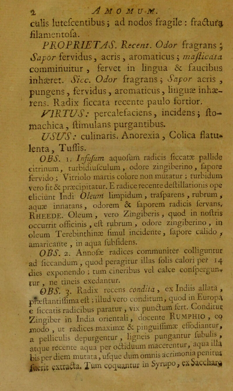 culis lutefcentibus ; ad nodos fragile : fracturi filamentofa. PRO FRIET'AS. Recent. Odor fragrans ^ Sapor fervidus , acris , aromaticus ; majliccita comminuitur , fervet in lingua & faucibus inhscret. Sicc. Odor fragrans ; Sapor acris , pungens, fervidus, aromaticus, lingus inhse- rens. Radix ficcata recente paulo fortior. VIRTUS: percalefaciens, incidens; fto- rnachica, ftimulans purgantibus. USUS: culinaris. Anorexia, Colica flatu* lenta, Tuflis. OBS. 1. Infufum aquofum radicis ficcatse pallide citrinum, turbidiufculum , odore zin^iberino , fapore fervido ; Vitriolo marris colore non mutatur ; turbidum vero fit & praecipitatur. E radice recente deftillationis ope eliciunt Indi Oleum lnnpidum , trafparens, rubrum , aquae innatans, odorem <Sc faporem radicis fervans* RHEEDE. Oleum , vero Zingiberis, quod in nollris occurrit officinis , eft rubrum , odore zingibenno , in oleum Terebinthinae fimul incidente, fapore calido , amaricante , in aqua fublidens. ORS. 2. Annofie radices communiter colliguntur ad iiccandum , quod peragitur illas folis caloii pei 14 dies exponendo ; tum cineribus vel calce conlpcigun-r tur , ne tineis exedantur. OBS. 3. Radix recens condita , ex Indus allata , pfteftantiffima eft; illud vero conditum, quod m Europa e liceatis radicibus paratur , vix pundturn fert. Conditur Zingiber in India orientali, docente RUMPHIO , eo modo , ut radices maximae & pinguiffimae effodiantur, a pelliculis depurgentur , ligneis pungantur lucu is , atque recente aqua per odtiduum macerentur, aqua 1 a bis per diem mutata, ufque dum omnis acrimonia peni tus fuerit cxtra&a. Tum coquantur in Syrupo, ex&accaar.#