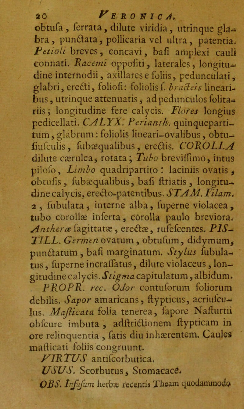 obtufa, ferrata, dilute viridia, utrinque gla- bra, pundata, pollicaria vel ultra, patentia. Petioli breves, concavi, bafi amplexi cauli connati. Racemi oppofiti, laterales, longitu-* dine internodii, axillares e foliis, pedunculari* glabri, eredi, foliofi; foliolisf. bracteis lineari- bus, utrinque attenuatis, ad pedunculos folita- riisj longitudine fere calycis. Flores longius pedicellati. CALYX. Ferianth. quinqueparti- tum, glabrum ‘. foliolis lineari-ovalibus, obtu- fiufculis, fubsequalibus, eredis. COROLLA dilute caerulea* rotata; Tubo brevilfimo, intu9 pilofo, Limbo quadripartito ! laciniis ovatis , obtufis, fub£qualibus, bafi ftriatis, longitu- dine calycis, eredo-patentibus. STAM. Filam, 2 , fubulata, interne alba, fuperne violacea , tubo corollse inferta, corolla paulo breviora. Antfiene fagittatas, eredse, rufefcentes. P1S- TILL. Germen ovatum, obtufum, didymum* pundatum, bafi marginatum. Stylus Tubula- tus, fuperne incrafiatus, dilute violaceus, lon- gitudine calycis. Stigma capitulatum, albidum. FROPR. rec. Odor contuforum foliorum debilis. Sapor amaricans > ftypticus, acriufcu- lus. Majlicata folia tenerea, lapore Nafiurtii obfcure imbuta , adfiridionem ftypticam in ore relinquentia , fatis diu inhaerentem. Caules mafticati foliis congruunt. VIRTUS antifcorbutica. USUS. Scorbutus* Stomacace. CBS. Infujurn herbse recentis Xheam quodammodo