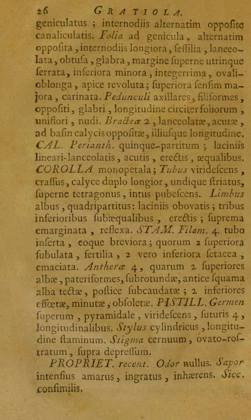 geniculatus ; internodiis alternatim oppofite canaliculatis. Folia ad genicula, alternatim oppofira ,internodiis longiora, feflilia , lanceo- lata, obtufa, glabra, margine fuperne utrinque ferrata, inferiora minora , integerrima, ovali- cblonga, apice revoluta; fuperiorafenfim ma- jora , carinata. Pedunculi axillares, filiformes , oppofiti, glabri, longitudine circiter foliorum , tmiflori, nudi. Br acie ce 2, lanceolatas, acutas , ad bafin calycis oppofitae, illiufque longitudine, CAL. Periantk. quinque-partitum ; laciniis lineari-lanceolatis, acutis, eredlis, asqualibus. COROLLA monopetala; Tubus viridefcens, craffiis, calyce duplo longior, undique flriatus, fuperne tetragonus, intus pubefcens. Limbus albus, quadripartitus: laciniis obovatis; tribus inferioribus fubasqualibtis , ereftis ; fuprema emarginata , reflexa. STAM. Filam. 4. tubo inferta , eoque breviora; quorum 2 fuperiora fubulata, fertilia , 2 vero inferiora fetacea , emaciata. Antherce 4, quarum 2 fuperiores albas, pateriformes,fubrotundas, antice Iquama alba tedlas, pollice fubcaudatas ; 2 inferiores effoetas, minutas, obfoletse. PJSTILL. Germen fuperum , pyramidale , viridefcens, futuris 4 , longitudinalibus. Stylus cylindricus , longitu- dine flaminum. Stigma cernuum, ovato-rol- tratum , lupra deprefllirn. PROPRIET, recent. Odor nullus. Sapor intenfius amarus, ingratus , inhterens. Sicc. confimilis.
