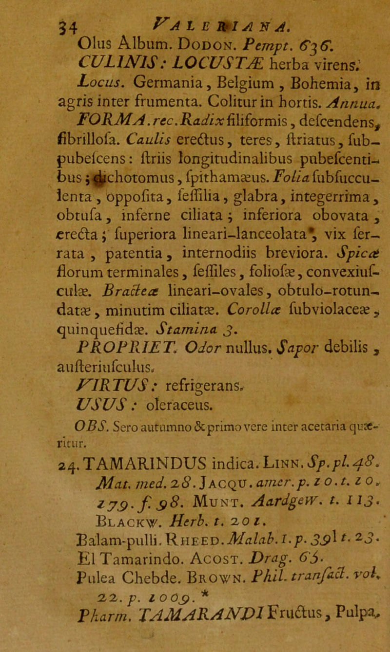 Olus Album. Dodon. Pcmpt. G^G. CULINIS: LOCUSTJE herba virens.' Locus. Germania, Belgium , Bohemia, in agris inter frumenta. Colitur in hortis. Annua„ FORMA.rec.Radix filiformis, defcendens*. fibrillola. Caulis ere&amp;us, teres, ftriatus, fub- pubelcens: ftriis longitudinalibus pubefcenti- bus j^ichotomus, fpithamseus. Po/hz fubfuccu- lenta , oppofita, ielfilia, glabra, integerrima, obtufa, inferne ciliata; inferiora obovata , eredta; fuperiora lineari-lanceolata* vix fer- rata , patentia, internodiis breviora. Spicet florum terminales, fefliles, foliofe, convexiuf- culae. Bractea lineari-ovales, obtulo-rotun- datas, minutim ciliata. Corolla fubviolacese , quinquefidae. Stamina 3. PROPRIET1 Odor nullus. Sapor debilis , aufteriufculus* VIRTUS: refrigerans» USUS: oleraceus. OBS. Sero autumno &amp; primo vere inter acetaria quae- ritur. 24. TAMAR1NDUS indica. Linn. Sp.pl48. Mat. med. 28. Jacqv. amer.p. io.t.10. nt. AardgeW. t. I1J. Blackw. Herb. t. 2,01. Bailam-pulli. Rheed. Malab.i.p. 3S>\2d> « ElTamarindo. Acost. T>rag. 6'3- Pulea Chebde. Biiown. Phil.tranfa.cl. voK 22. p. 1 o 03. * Pharm. TAMARANDI Fru&amp;us, Pulpa,.
