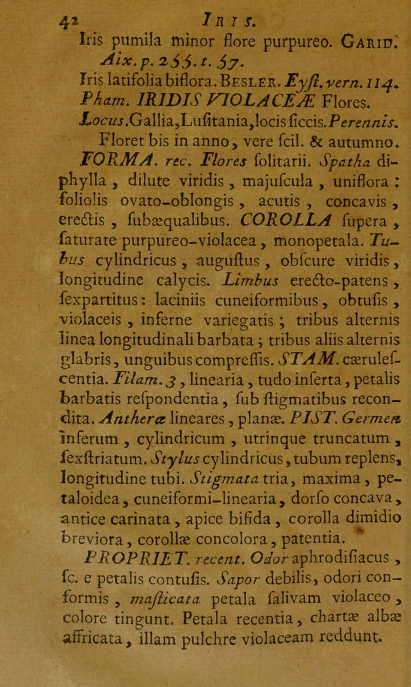 Iris pumila minor flore purpureo. Garid.' Alx.p. 2$5.t. Jy. Iris latifolia biflora. Besler. Eyft. vern. 114. Phcun. IRIDIS VIOLACEJE Flores. Xoc//j.Gallia,Lufitania,locisficcis.Perf/2/z/>. Floret bis in anno, vere fcil. &amp; autumno. FORMA, rec. Flores folitarii. Spatha di- phylla , dilute viridis, majufcula , uniflora : foliolis ovato-oblongis , acutis , concavis , eredis , fubcequalibus. COROLLA fupera , faturate purpureo-violacea, monopetala. Tu- bus cylindricus , auguftus , obfcure viridis, longitudine calycis. Limbus eredo-patens, fexpartitus: laciniis cuneiformibus, obtufis, violaceis , inferne variegatis ; tribus alternis linea longitudinali barbata; tribus aliis alternis glabris, unguibuscompreflis. STAM. ca?rulef- centia. Ellam, y, linearia, tudo inferta, petalis barbatis refpondentia, fub fligmatibus recon- dita. Antherce lineares , plana?. PIST. Germen inferum , cylindricum , utrinque truncatum , fexftriatum. Stylus cylindricus, tubum replens, longitudine tubi. Stigmata tria, maxima, pe- taloidea, cuneiformi-linearia, dorfo concava , antice carinata , apice bifida , corolla dimidio breviora, corolla? concolora, patentia. PROPRIET, recent. Odor aphrodifiacus , fc. e petalis contufis. Sapor debilis, odori con- formis , mafllcata petala falivam violaceo, colore tingunt. Petala recentia, charta? alba? affricata, illam pulchre violaceam reddunt.