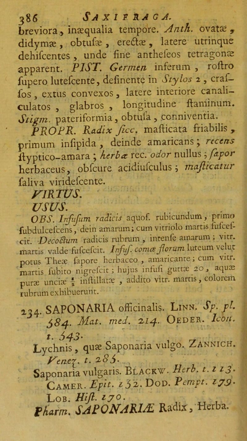 breviora, inaequalia tempore. Anth. ovat£ , didymje , obtufe , eredis , latere utrinque dehifcentes , unde fine antheieos tetragonce apparent. PIST. Germen inferum , roftro fupero lutefcente, definente in Stylos 2 , crai- fos, extus convexos, latere interiore canali- culatos , glabros , longitudine flaminum. Stigm. pateriformia, obtufa, ccnniventia. PROPR. Radix ficc. maflicata friabilis, primum infipida , deinde amaricans; recens llyptico-amara ; herbee rec. odor nullus j pipor herbaceus, obfcure acidiuiculus, maf icatur faliva viridefcente. yiRTUS. usus. OBS. Infufum radicis aquof. rubicundum , primo fubdulceicens, dein amarum; cum vitriolo marris fufcel- cit. DecoSlum radicis rubrum , intenfe amarum; vitr. marris valde fufcefcit. Infuf. cornee forum luteum velu.c potus Thex fapore herbaceo, amaricante; cum \itr. martis fubito nigrefcit; hujus infufi guttae 20, aquae purae unciae { inftillatse , addito vitr. martis, colorem rubrum exhibuerunt. 2.34. SAPONARIA officinalis. Linn. Sp. fi J 58A Mcit. med. 2,14. Oeder. Icon. t. 643- . Lychnis, quse Saponaria vulgo. Zannich. Uencp. t. 28$. Saponaria vulgaris. Blackv. Aerb. 1.1 ij. CAMER. Epii. * J2,. Dod. Pempt. 177. Lob. Hifi. 170. tharrn. SAEONAkIAL Radix, Herba.