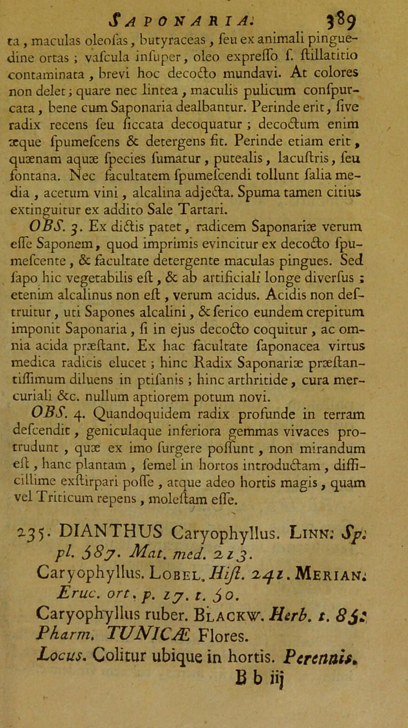 Saponaria: 3$9 ta , maculas oleofas, butyraceas , feu ex animali pingue- dine ortas ; vafcula infuper, oleo expreffo f. ftillatitio contaminata , brevi hoc decoilo mundavi. At colores non delet; quare nec lintea , maculis pulicum confpur- cata, bene cum Saponaria dealbantur. Perinde erit, live radix recens feu ficcata decoquatur ; decodtum enim xque fpumefcens &amp; detergens fit. Perinde etiam erit, qusenam aquae fpecies fumatur , putealis, lacuftris, feu fontana. Nec facultatem fpumelcendi tollunt falia me- dia , acetum vini, alcalina adjefta. Spuma tamen citius extinguitur ex addito Sale Tartari. OBS. 3. Ex didtis patet, radicem Saponarioe verum elfe Saponem, quod imprimis evincitur ex deco&amp;o fpu- mefcente , &amp; facultate detergente maculas pingues. Sed fapo hic vegetabilis eft, &amp; ab artificiali longe diverfus ; etenim alcalinus non eft, verum acidus. Acidis non def- truitur, uti Sapones alcalini, &amp; ferico eundem crepitum imponit Saponaria, fi in ejus decofto coquitur , ac om- nia acida prxftant. Ex hac facultate faponacea virtus medica radicis elucet; hinc Radix Saponarise prteftan- tilfimum diluens in ptifanis; hinc arthritide, cura mer- curiali &amp;c. nullum aptiorem potum novi. OBS. 4. Quandoquidem radix profunde in terram defcendit, geniculaque inferiora gemmas vivaces pro- trudunt , qux ex imo furgere poliunt, non mirandum eft, hanc plantam , femel in hortos introdu&amp;am , diffi- cillime exftirpari polfe , atque adeo hortis magis, quam vel Triticum repens , molellam elfe. •«* 2.35. DIANTHUS Caryophyllus. Linn: Sp: pl. $8y. Mat. mcd. 213. Caryophyllus. Lobel. Hi/i. 241. Merian: Erue. ort. p. zy. t. $ 0. Caryophyllus ruber. Blackw. H&amp;rb. t. 8$: Pharm. TUNICJE Flores. Locus. Colitur ubique in hortis. Perennis* Bbiij