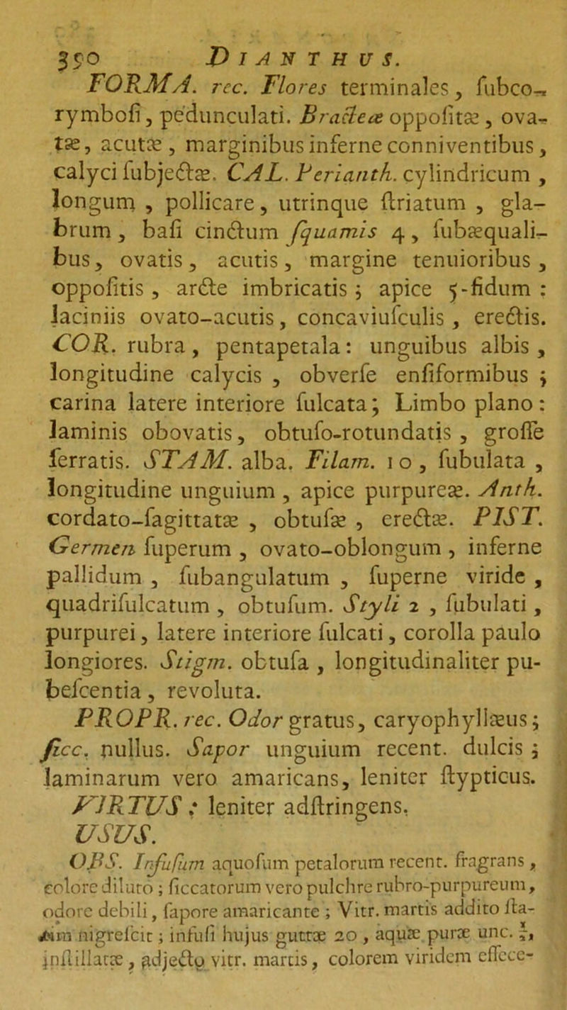 FORMA, rcc. Flores terminales, fubco-, rymbofi, pedunculari. Bractea oppofitte, ova- tse, acutce , marginibus inferne conniventibus, calyci iubjefta;. CAL. Perianth. cylindricum , longum , pollicare, utrinque (Iriatum , gla- brum , bafi cin&amp;um fquamis 4, lubtequali- bus, ovatis, acutis, margine tenuioribus, oppofitis , ardte imbricatis ; apice 5-fidum : laciniis ovato-acutis, concaviufculis, eredlis. COR. rubra, pentapetala: unguibus albis, longitudine calycis , obverfe enfiformibus j carina latere interiore fulcata; Limbo plano: laminis obovatis, obtufo-rotundatis , grofle ferratis. STA AI. alba. Filam. 1 o , Tubulata , longitudine unguium , apice purpurea;. Anth. cordato-fagittatse , obtufse , eredbe. PIST. Germen fuperum , ovato-oblongum , inferne pallidum , fubangulatum , fuperne viride , quadrifulcatum , obtufum. Styli 2 , Tubulati, purpurei, latere interiore fulcati, corolla paulo longiores. Stigm. obtufa , longitudinaliter pu- befcentia, revoluta. PROPR. rec. Odor gratus, caryophyllteus; fice. nullus. Sapor unguium recent. dulcis ; laminarum vero amaricans, leniter ftypticus. PARTUS : leniter adftringens, USUS. ORS. Infufum aquofum petalorum recent. fragrans, colore diluto ; ficcatorum vero pulchre rubro-purpureum, odore debili, fapore amaricante ; Vitr. martis addito ila- jtom nigrefcit; infufi hujus guttae 20 , aqute purce unc. jnllillacte, ^djeeto vitr. marcis, colorem viridem eflccc-