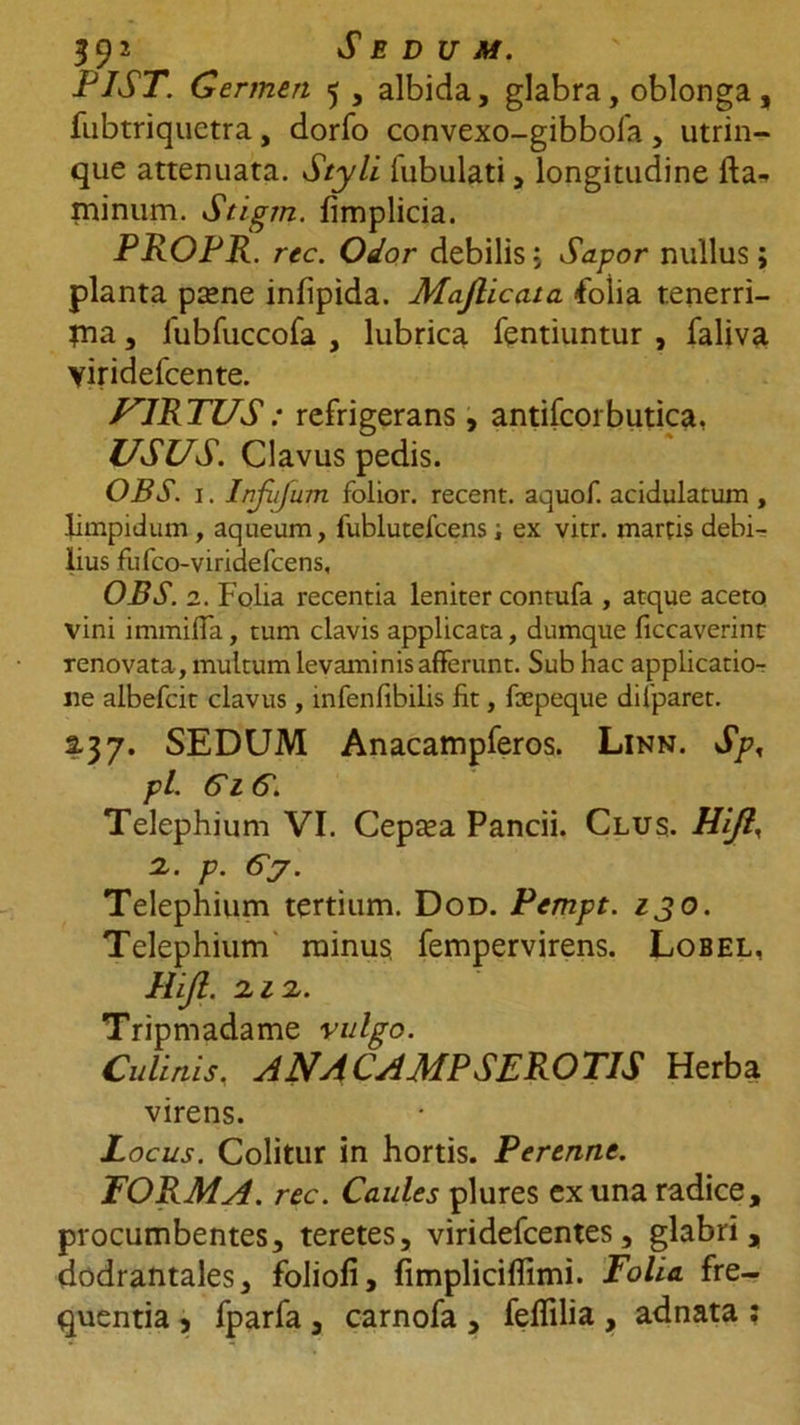 39J Sedum. PIST. Germen 5, albida, glabra, oblonga, fubtriquctra, dorfo convexo-gibbofa , utrin- que attenuata. Styli lubulati, longitudine fta^ minum. Stigm. limplicia. PROPR. rec. Odor debilis; Sapor nullus; planta parne infipida. Majlicata folia tenerri- ?na, fubfuccofa , lubrica fentiuntur , faliva viridefcente. F1RTUS: refrigerans, antifcorbutica, USUS. Clavus pedis. OBS. 1. Injiijum folior. recent. aquof. acidulatum , limpidum , aqueum, fublutefcens; ex vier, marris debi- lius fufeo-viridefeens, OBS. 2. Folia recentia leniter contufa , atque aceto vini immiffa, tum clavis applicata, dumque ficcaverint renovata, multum levaminis afferunt. Sub hac applicatio- ne albefeit clavus, infenfibilis fit, fiepeque difparet. 2.37. SEDUM Anacampferos. Linn. Sp, pl. CiG. Telephium VI. Cepa?a Pancii. Clus. Hijlr a. p. 6>. Telephium tertium. Dod. Pempt. zjo. Telephium minus fempervirens. Lobel, Hijl. 2.12.. Tripmadame vulgo. Culinis, ANA CAMPSF ROTIS Herba virens. Locus. Colitur in hortis. Perenne. FORMA, rec. Caules plures ex una radice, procumbentes, teretes, viridefeentes, glabri, dodrantales, folioli, fimplicillimi. Folia fre- quentia , fparfa , carnofa , feflilia , adnata ;