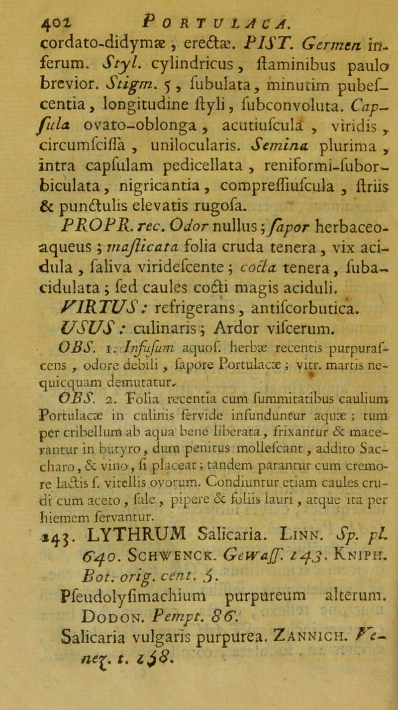 cordato-didymae, ere&amp;a?. PIST. Germen in- ferum. Styl. cylindricus, flaminibus paula brevior. Stigm. 5, fubulata, minutim pubef- centia, longitudine ftyli, fubconvoluta. Cap- fiila. ovato-oblonga , acutiufcula , viridis , circumfcifla , unilocularis. Semina, plurima , intra capfulam pedicellata , reniformi-lubor- biculata, nigricantia , compreffiufcula , ftriis &amp; pundlulis elevatis rugofa. PROPR. rec. Odor nullus; fapor herbaceo- aqueus ; majlicata folia cruda tenera, vix aci- dula , faliva viridefeente ; cocla tenera, fuba- cidulata ; fed caules coffi magis aciduli. /^IRTUS: refrigerans, antifcorbutica. USUS : culinarisj Ardor vifcerum. OBS. 1. Jjjfufum aquof. herbae recentis purpuraf- cens , odore debili, fapore Portulacae ; vitr. martis ne- quicquam demutatur, OBS. 2. Folia recentia cum fummitatibus caulium Portulacae in culinis fervide infunduntur aquae ; tum per cribellum ab aqua bene liberata, frixantur &amp; mace- rantur in butyro, dum penitus mollefcant, addito Sac- charo, &amp; vino, fi placeat; tandem parantur cum cremo- re la&amp;is f. vitellis ovorum. Condiuntur etiam caules cru- di cum aceto , falc , pipere Si foliis lauri, atque ita per hiemem fervantur. 143. LYTHRUM Salicaria. Linn. Sp. pL 640. ScHWENCK. GeWaJf. 1^3. KNIPK. Bot. orig. cent. Pfeudolyfimachium purpureum alterum. Dodon. Pempt. 86. Salicaria vulgaris purpurea. Zannich. P e- net. z^8.