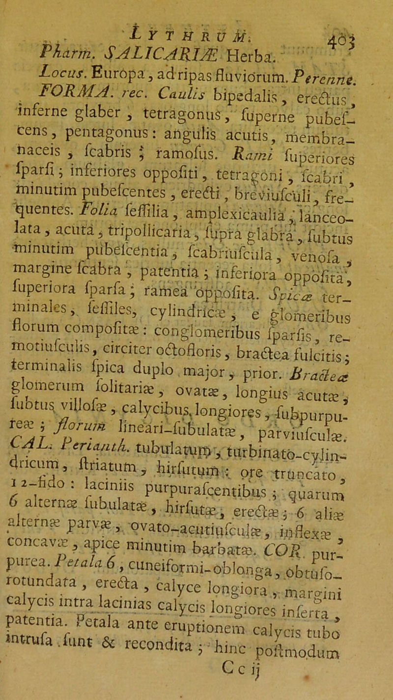 46- ,. ' L Y T H R u ii i Locus. Europa , ad ripas fluviorum. Perenne. FORMA. iec. Caulis bipedalis, eremus, inferne glaber , tetragonus, fuperne pubei- cens, pentagonus: angulis acutis, membra- naceis , fcabris ; ramofus. Rami fuperiores fparfi ; inferiores oppofiti, tetragoni, fcabri minutim pubefcentes , eredi, breviufculi, fre- quentes. Folia feflilia, amplexicaulia ,jianceo- iata, acuta j tripollicaria, lupra glabra', 1'ubtus •minutim pubelcentia, fcabriufcula, venofa margine fcabra , patentia ; inferiora oppofita’ luperiora fparfa; rameaoppofita. Spica ter- minales, feffiles, cylindrice , e glomeribus florum compofit*: conglomeribus iparfis re monufculis circiter odofloris, bradea fulcitis; terminalis fpica duplo major, prior. Bractea glomerum lohtariae, ovatae, longius acuta?, uotus. viUofe , calycibus, longiores, -fubpurpu- CAJ flpUm pafviufcuL. dncum, Anatum, birlutum ^ ore truncato, i a-hdo : laciniis purpurafcentibus ; qiarum alterme parva?, ovato-acutiufcul*, ipflex^ concava? , apice minutim barbata?. COR Dur! pinea, i etala6, cuneiformi-#»longa, obtufo- rotundafa , ereda , calyce longiora , 'materni calycis intra lacinias calycis longiores inferm patentia i etala ante eruptionem calycis tubo intrufa .fune &amp; recondita; hinc pX* UJ-