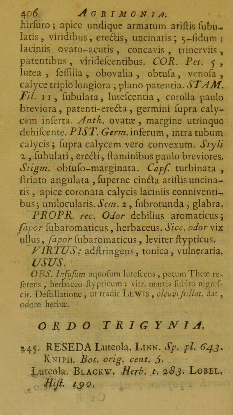 hirfuto; apice undique armatum aridis fubu, latis, viridibus, eredis, uncinatis; 5-fidum ? laciniis ovato-acutis, concavis , trinerviis, patentibus, viridefcentibus, COR. Pet. 5 , lutea , fediiia , obovalia , obtufa, venofa , calyce triplo longiora , plano patentia. STAM. Fil. 11, Tubulata, lutefcentia , corolla paulo breviora, patenti-ereda, germini lupra caly- cem inferta. Anth. ovatas, margine utrinque dehifcente. PIST. Gerrn. inferum, intra tubum calycis; fupra calycem vero convexum. Siyli x, Tubulati, eredi, flaminibus paulo breviores. Stigm. obtufo-marginata. Capf. turbinata , driato angulata , fuperne cinda aridis uncina- tis , apice coronata calycis laciniis conniventi- bus; unilocularis. Sem. z , fubrotunda , glabra, PROPR. rec. Odor debilius aromaticus; pipor fubaromaticus, herbaceus. Sicc. odor vix ullus, fhpor lubaromaticus, leviter dypticus. FRiTUS: addringens, tonica, vulneraria. USUS, OBS. Infufum aquofum lutefeens, potum Thete re- ferens , herbaceo-flypticum ; vitr. martis fubito nigref- cit. Dedillatione , ut tradit LEWIS , oleum jullai. dat, odore herbse. ORDO T R I G Y N 1 A. 445. RESEDA Luteola. Linn. Sp. pl. 643* Kniph. Bot. orig. cent. 5. Luteola. Blackw. Herb. t. 283. Lobel, JUJi. i$o,