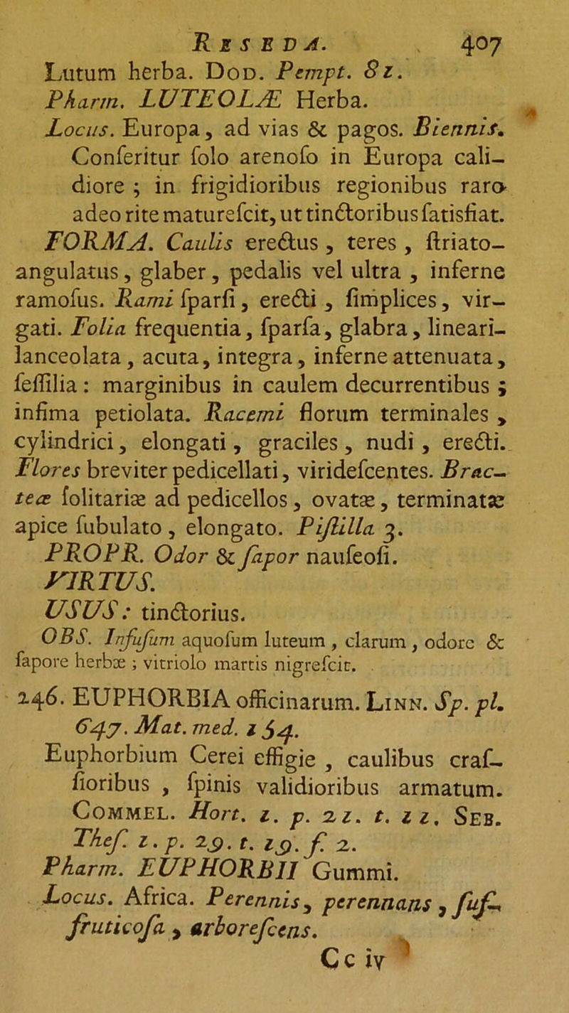 4°7 Reseda. Lutum herba. Dod. Pempt. 8z. Phcirrn. LUTEOLAL Herba. Locus. Europa, ad vias &amp; pagos. Biennis. Conferitur folo arenofo in Europa cali- diore ; in frigidioribus regionibus rara adeo rite maturefcit, ut tindtoribus fatisfiat. FORMA. Caulis ere&amp;us , teres , ftriato- angulatus, glaber, pedalis vel ultra , inferne ramofus. Rami fparfi , ere&amp;i, fimplices, vir- gati. Folia frequentia, fparfa, glabra, lineari- lanceolata, acuta, integra, inferne attenuata, feffilia: marginibus in caulem decurrentibus infima petiolata. Racemi florum terminales > cylindrici, elongati, graciles , nudi , eredli. Flores breviter pedicellati, viridefcentes. Bruc- tere folitarise ad pedicellos, ovatse, terminatse apice fubulato , elongato. Pijlilla 3. PROPR. Odor 6c fapor naufeofi. VIRTUS. USUS: tin&amp;orius. OBS. Infufum aquofum luteum , clarum , odore &amp; fapore herbae ; vitriolo martis nigrefeit. 246. EUPHORBIA officinarum. Li nn. Sp. pl. 647. Mat. med. 1 Euphorbium Cerei effigie , caulibus craf— floribus , fpinis validioribus armatum. COMMEL. Hort. l. p. 2,1. t. Zl, SEB. Tkef. 1. p. 2.7. t. 19. f- 2. Pkarm. EUPHORBII Gummi. Locus. Africa. Perennis, perennans , fuf-* fruticofa 9 arborefeens. WI