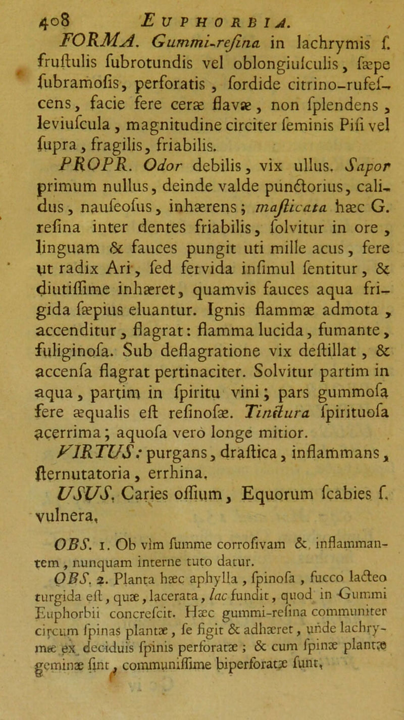FORMA. G ummLreJina. in lachrymis f. fruftulis fubrotundis vel oblongiulculis, fepe fubramofis, perforatis , fordide citrino-rufei- cens, facie fere cerae flavae, non fplendens , leviufcula , magnitudine circiter feminis Pili vel fupra, fragilis, friabilis. PROPR. Odor debilis, vix ullus. Sapor primum nullus, deinde valde pundtorius, cali- dus , naufeofus, inhaerens; majlicata haec G. refina inter dentes friabilis, folvitur in ore , linguam &amp; fauces pungit uti mille acus, fere Ut radix Ari , fed fervida infimul fentitur, &amp; diutiflime inhaeret, quamvis fauces aqua fri- gida faepius eluantur. Ignis flammae admota , accenditur, flagrat: flamma lucida, fumante, fuliginofa. Sub deflagratione vix deftillat, &amp; accenfa flagrat pertinaciter. Solvitur partim in aqua, partim in fpiritu vini; pars gummofa fere aequalis efl: refinofae. Tinilura lpirituofa acerrima; aquofa vero longe mitior. VIRTUS: purgans, draftica, inflammans, (lernutatoria, errhina, USUS, Caries oflium, Equorum fcabies f. vulnera, OBS. i. Ob vim fumme corrofivam &amp; inflamman- tem , nunquam interne tuto datur. OBS. 2. Planta hxc aphylla , fpinofa , fucco ladeo turgida efl;, qux, lacerata, lac fundit, quod in Cummi Euphorbii concrefcit. Hxc gummi-renna communiter circum fpinas plantx, fe figit &amp; adhxret, unde lachry- mte ex deciduis fpinis perforatx ; &amp; cum fpinx plantx geminae flat. communiflime biperforatx funt,