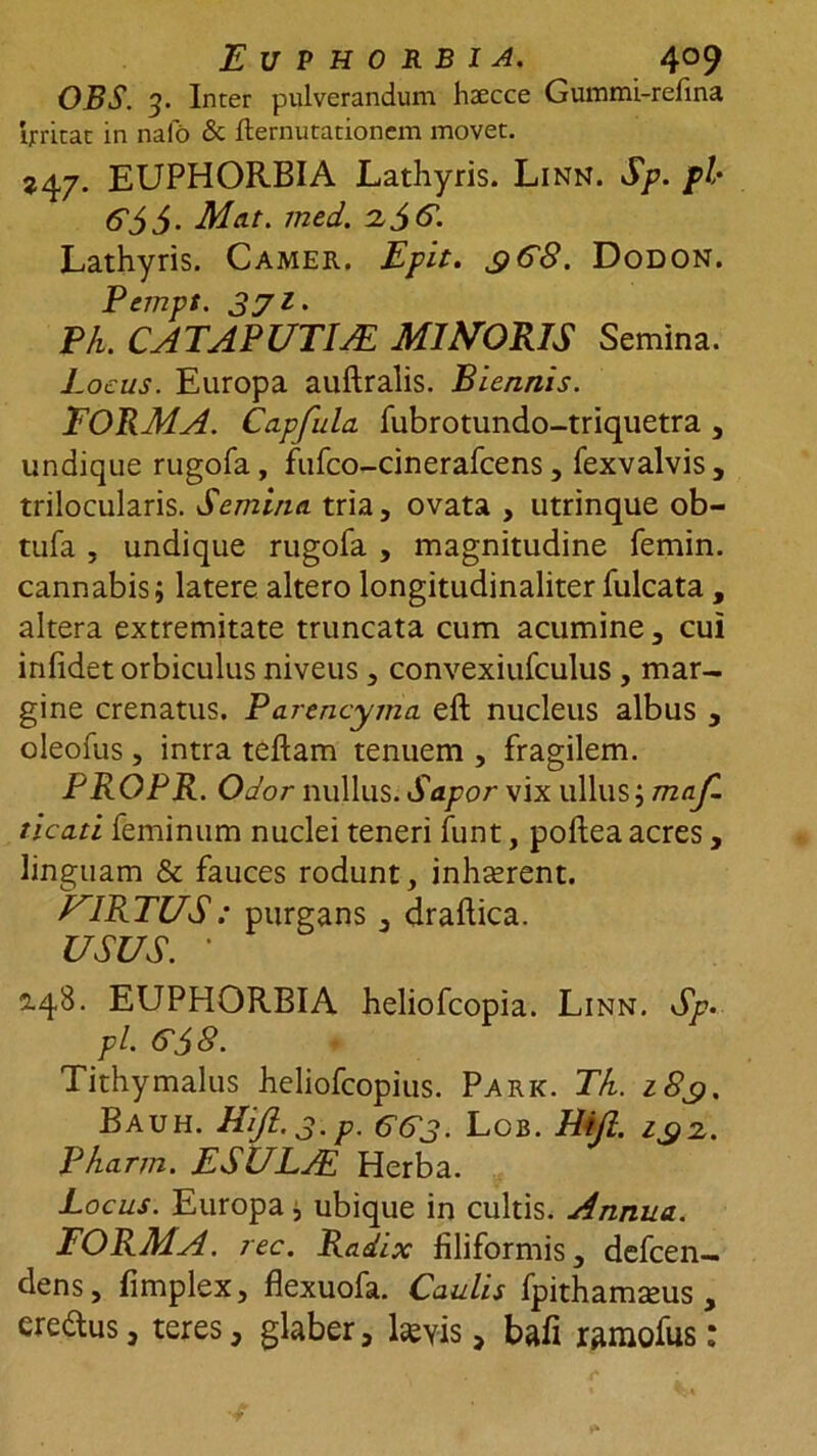 OBS. 3. Inter pulverandum haecce Gummi-refina irritae in nafd &amp; fternutationem movet. ?47. EUPHORBIA Lathyris. Linn. Sp. pl 6'36- Mat. med. Lathyris. Camer. E fit, 368. Dodon. Pempt. 371. P/u CATAPUTIAL MI HORIS Semina. Locus. Europa auftralis. Biennis. EORMA. Capfula fubrotundo-triquetra , undique rugofa, fufco-cinerafcens, fexvalvis, trilocularis. Semina, tria, ovata , utrinque ob- tufa , undique rugofa , magnitudine femin. cannabis; latere altero longitudinaliter fulcata , altera extremitate truncata cum acumine, cui infidet orbiculus niveus , convexiufculus , mar- gine crenatus. Parencyma eft nucleus albus , oleofus , intra teftam tenuem , fragilem. PROPR. Odor nullus. Sapor vix ullus; maji. ticati feminum nuclei teneri funt, poftea acres, linguam &amp; fauces rodunt, inhserent. UIRTUS: purgans, draftica. USUS. • 2.48. EUPHORBIA heliofcopia. Linn. Sp• pl. G58. Tithymalus heliofcopius. Park. Tk. 183. Bauh. Hift. 3. p. G(?3' Lob. Hifi. z£2. Pharm. ESULJE Herba. Locus. Europa; ubique in cultis. Annua. FORMA, rec. Radix filiformis, defeen- dens, fimplex, flexuofa. Caulis fpithamseus , eredus, teres, glaber, lseyis, bafi ramofus: