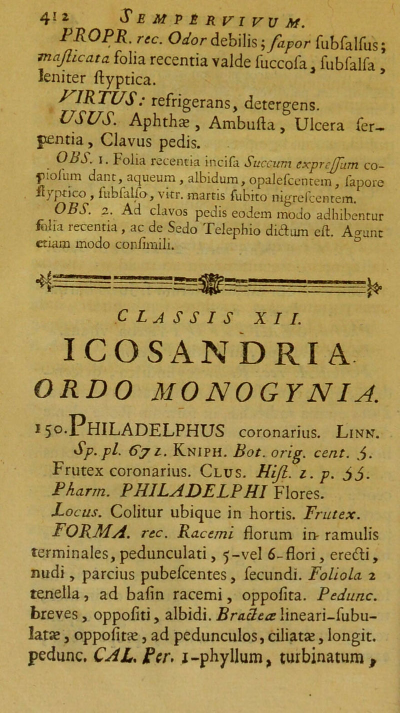 PROPR. rec. Odor debilis -,/apor fubfalfus; majlicata folia recentia valde fuccofa, fubfalfa, leniter ftyptica. VIRTUS: refrigerans, detergens. USUS. Aphthx , Ambufta, Ulcera fer- fxentia, Clavus pedis. OBS. i. Folia recentia incifa Succum cxprcjjum co- piolum dant, aqueum, albidum,opalefcentem, fapore il) ptico y fubfaifo, vitr. martis fubito nigre Icentem. 2' clavos pedis eodem modo adhibentur f ilia lecentia , ac de Sedo felephio dudum eft. Adurit etiam modo coniimili. CLASSIS XII. ICOSANDRIA ORDO MO NO GY N IA. i5o.Philadelphus coronarius. Linn. Sp.pl. 6>z. Kniph. Bot. orig. cent. Frutex coronarius. Clus. Hifl. i.p. $S. Pharm. PHILADELPHI Flores. Locus. Colitur ubique in hortis. Frutex. forma, rec. Racemi florum in- ramulis terminales, pedunculati, 5-vel 6-flori, eredli, nudi, parcius pubefeentes, fecundi. Foliola 2 tenella, ad bafin racemi, oppofita. Pedunc. breves, oppofiti, albidi. Brallece lineari-fubu- latse, oppofita, ad pedunculos, ciliatae, longit. pedunc. CAL, J?cr, j-phyllum, turbinatum.