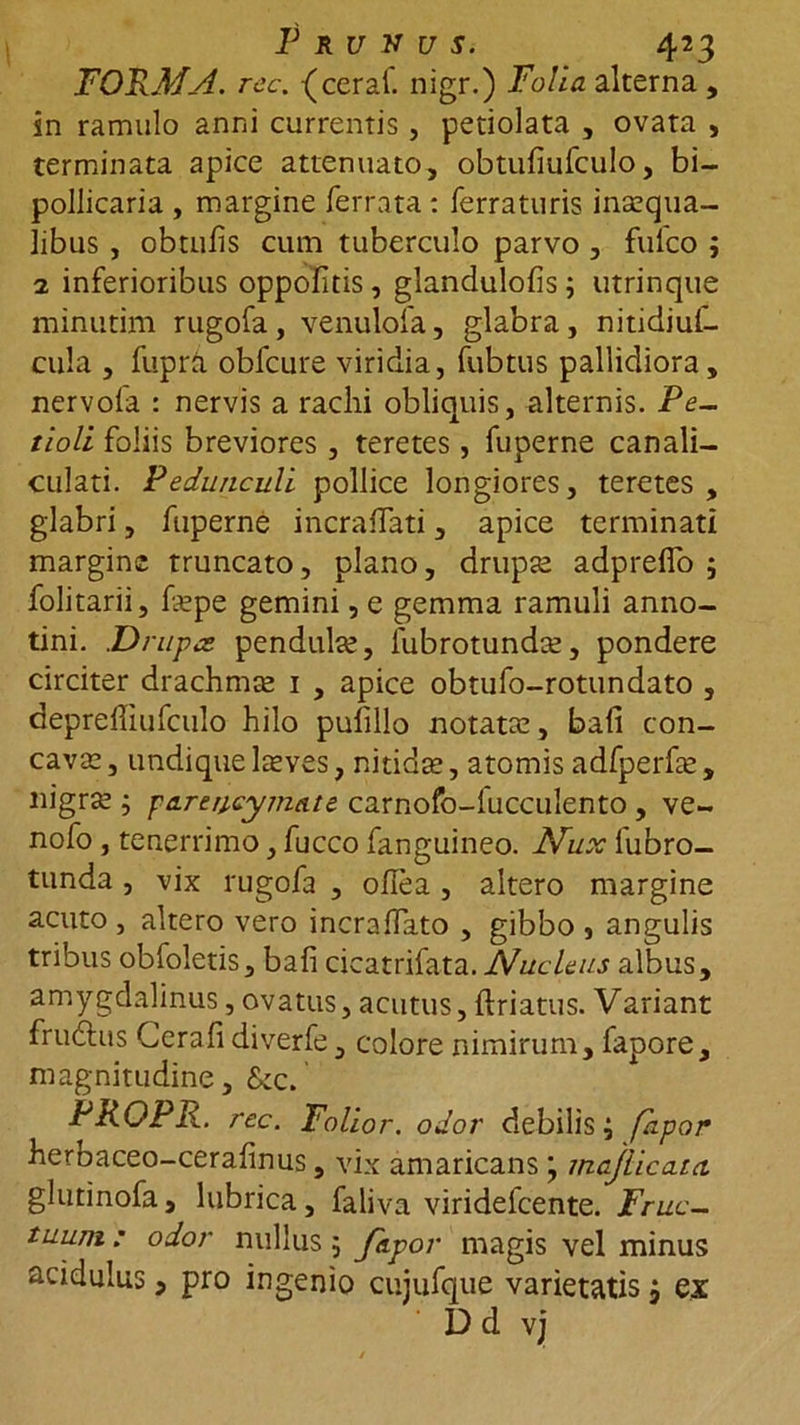 FORMA, rec. {ceraf. nigr.) Folia alterna , sn ramulo anni currentis, petiolata , ovata , terminata apice attenuato, obtufiufculo, bi- pollicaria , margine ferrata: ferraturis inaequa- libus , obtufis cum tuberculo parvo , fuico 9 2 inferioribus oppofitis, glandulofis 9 utrinque minutim rugofa, venulofa, glabra, nitidiuf- cula , fuprd obfcure viridia, fubtus pallidiora, nervofa : nervis a raclii obliquis, alternis. Pe- tioli foliis breviores, teretes, fuperne canali- culati. Pedunculi pollice longiores, teretes, glabri, fuperne incraflati, apice terminati margine truncato, plano, drupte adpreflo 9 folitarii, faepe gemini, e gemma ramuli anno- tini. .Drupes pendulae, lubrotundae, pondere circiter drachmae 1 , apice obtufo-rotundato , deprelliufculo hilo pulillo notatae, bafi con- cavae , undique laeves, nitida;, atomis adfperfae, nigrae 9 pareucymate carnofo-lucculento , ve- nofo , tenerrimo, fucco fanguineo. Nux lubro- tunda , vix rugofa , ohea , altero margine acuto , altero vero incralfato , gibbo , angulis tribus obfoletis, bafi cicatrifata. Nucleus albus, amygdalinus, ovatus, acutus, {friatus. Variant frudius Cerafi diverfe, colore nimirum, fapore, magnitudine, &amp;c. PROPR. rec. Folior. odor debilis 9 fapor herbaceo-cerafinus, vix amaricans 9 majlicata glutinofa, lubrica, faliva viridefeente. Fruc- tuum : odor nullus 9 fkpor magis vel minus acidulus, pro ingenio cujufque varietatis j ex