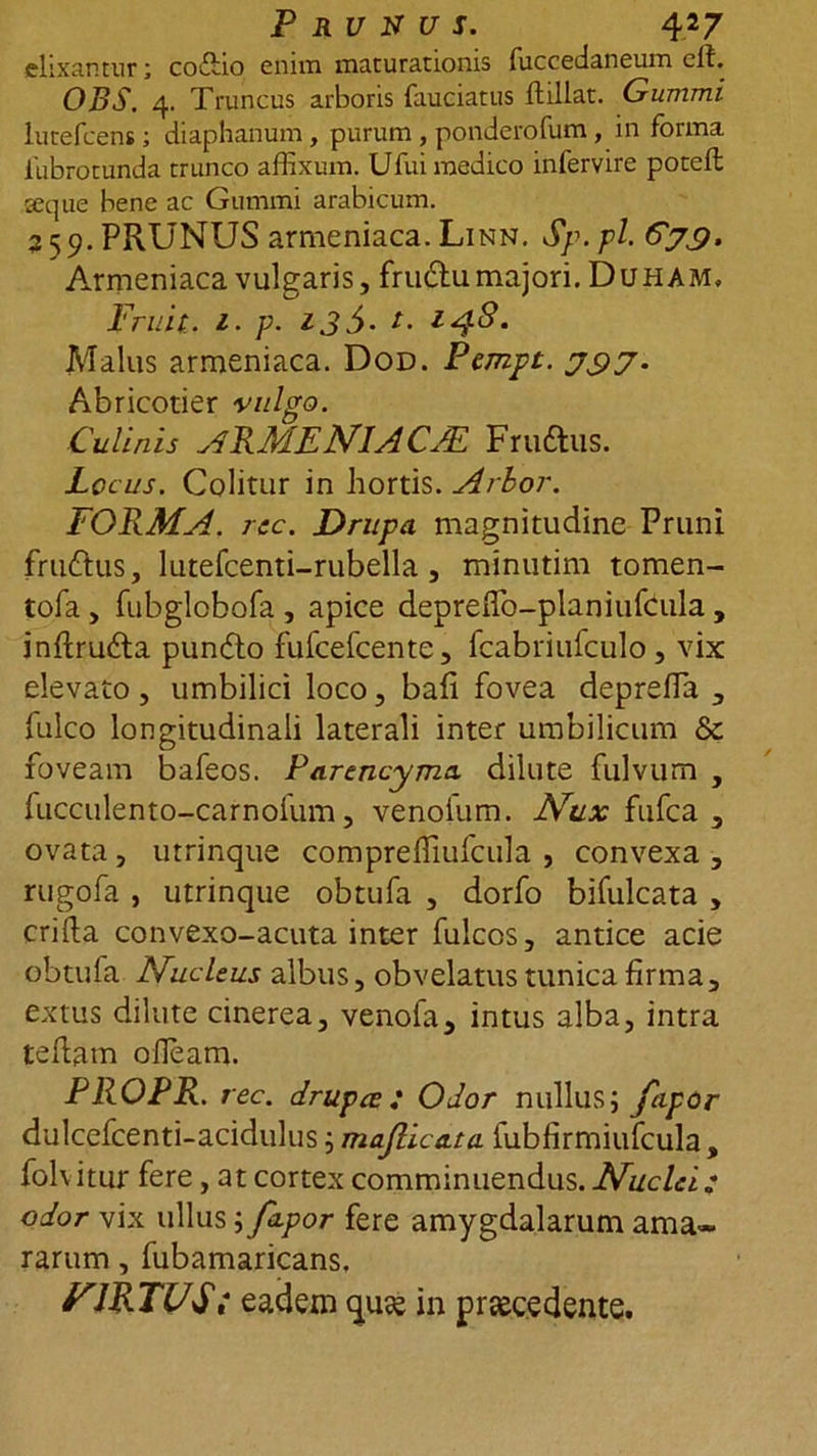 elixantur; codlio enim maturationis fuccedaneum eft. OBS. 4. Truncus arboris fauciatus ftillat. Gummi lutefcens; diaphanum, purum , ponderofum, in forma iubrotunda trunco affixum. Ufui medico infervire potefl seque bene ac Gummi arabicum. 359. PRUNUS armeniaca. Linn. Sp. pl. C77. Armeniaca vulgaris, frudlumajori. Duham, Fruit.. 1. p. 135* t' Malus armeniaca. Dod. Pempt. 777. Abricotier vulgo. Culinis aRMENIACJE Frudius. Locus. Colitur in hortis. Arbor. FORMA. rcc. Drupa magnitudine Pruni frudtus, lutefcenti-rubella, minutim tomen- tofa, fubglobofa , apice deprexTo-planiufcula , inftrudla pundlo fufcefcente, fcabriufculo , vix elevato , umbilici loco, bafi fovea depreffia , fulco longitudinali laterali inter umbilicum foveam bafeos. Parencyma dilute fulvum , lucculento-carnolum, venolum. Nux fufca , ovata, utrinque compreffiufcula , convexa , rugofa , utrinque obtufa , dorfo bifulcata , crifta convexo-acuta inter fulcos, antice acie obtufa Nucleus albus, obvelatus tunica firma, extus dilute cinerea, venofa, intus alba, intra tefiam ofieam. PROPR. rec. drupce: Odor nullus; fcipor dulcefcenti-acidulus; ma.Jlica.ta fubfirmiufcula, folvitur fere, at cortex comminuendus. Nuclei; odor vix ullus \fapor fere amygdalarum ama- rarum , fubamaricans, VIRTUS; eadem qute in praecedente.