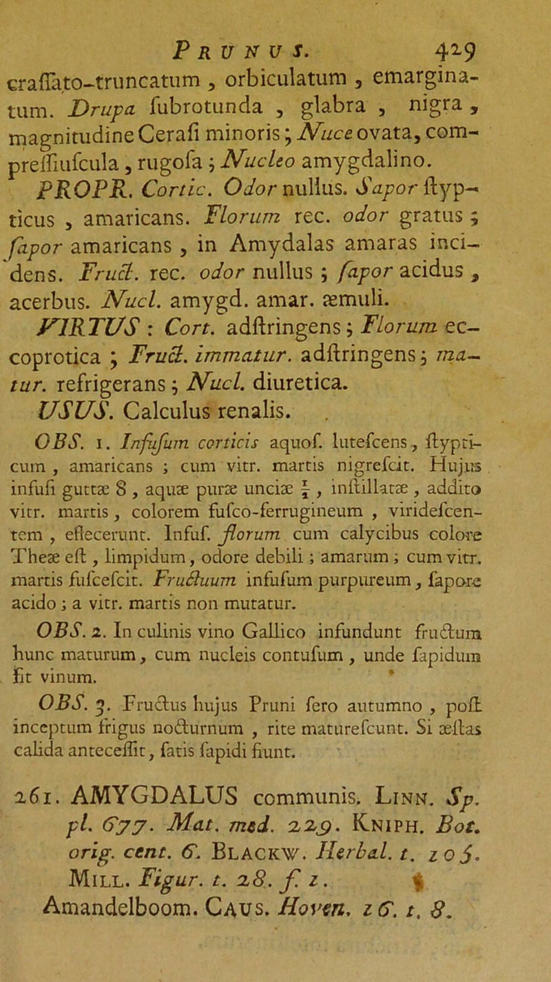 craftato-truncatum , orbiculatum 5 emargina- tum. Drupa fubrotunda , glabra , nigra , magnitudine Cerafi minoris; Nuce, ovata, com- prefliufcula, rugofa i Nucleo amygdalino. PROPR. Corde. Odor nullus. Sapor ftyp- ticus , amaricans. Florum rec. odor gratus ; fapor amaricans , in Amydalas amaras inci- dens. Frucl. rec. odor nullus ; fapor acidus , acerbus. Nuci, amygd. amar. jemuli. U1RTUS : Cort. adftringens; Florum ec- coprotica ; Frucl. immatur. adftringens 5 ma- tur. refrigerans; Nuci, diuretica. USUS. Calculus renalis. OBS. 1. Infufum corticis aquof. lutefeens, ftypti- cum , amaricans ; cum vitr. martis nigrefeit. Hujus infufi guttae S , aquae purae unciae \ , inftillatae , addito vitr. martis, colorem fufeo-ferrugineum , viridefcen- tem , effecerunt. Infuf. florum cum calycibus colore Theae efl, limpidum, odore debili; amarum ; cum vitr. martis fufcefcit. Fruduum infufum purpureum, fapore acido; a vitr. martis non mutatur. OBS. i. In culinis vino Gallico infundunt frudum hunc maturum, cum nucleis contufum , unde fapidum fit vinum. OBS. 5. Fructus hujus Pruni fero autumno , poft inceptum frigus nodurnum , rite maturefeunt. Si aeltas calida anteceffit, fatis fapidi fiunt. 261. AMYGDALUS communis. Linn. Sp. pl. 677. Mat. med. 223. Kniph. Bot. orig. cenc. &amp;. BLACKW. Ilerbal. t. zoj. Mill. Figur. t. 28. f. 1. | Amandelboom. Caus. Hoven. 16. t. 8.