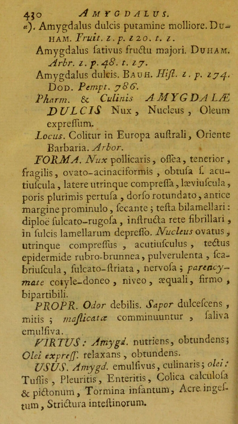 «)< Amygdalus dulcis putamine molliore. Du- HAM. Fruit. z. p. Z 2.0. t. z. Amygdalus fativus fruftu majori. Duiiam. Arbr. z. p. 48. t. zj. Amygdalus dulcis. Bauh. JFift. z. p. 174. Dod. Pempt. j8G. Pharm. &amp; Culinis A7FYGDALAL DULCIS Nux, Nucleus, Oleum exprefiiim. Locus. Colitur in Europa auftrali, Oriente Barbaria. Arbor. FORMA. Nux pollicaris, ofiea, tenerior, fragilis, ovato-acinaciformis , obtufa 1. acu- tiufcula, latere utrinque comprefla, laeviufcula, poris plurimis pertufa , dorfo rotundato, antice margine prominulo, fecante 9 tefta bilamellari: diploe fulcato-rugofa , infirudta rete fibrillari, in 1'nlcis lamellarum depreflo. Nucleus ovatus , utrinque comprellus , acutiufculus , tedlus epidermide rubro-brunnea, pulverulenta , fca- briufcula, fulcato-ftriata , nervofa 9 pauncy- mate cotyle-doneo , niveo, tequali, firmo, bipartibili. PROPR. Odor debilis. Sapor dulcefcens , mitis 9 inoAicata comminuuntur , faliva emulfiva. F1RTUS : Artiygd. nutriens, obtundens; Olei expreff. relaxans , obtundens. USUS. Amygd. emulfivus, culinaris9 olei: Tufiis , Pleuritis, Enteritis, Colica calculofa &amp;piftonum, Tormina infantum, Acreingel- tum, Strittura intcftinorum.
