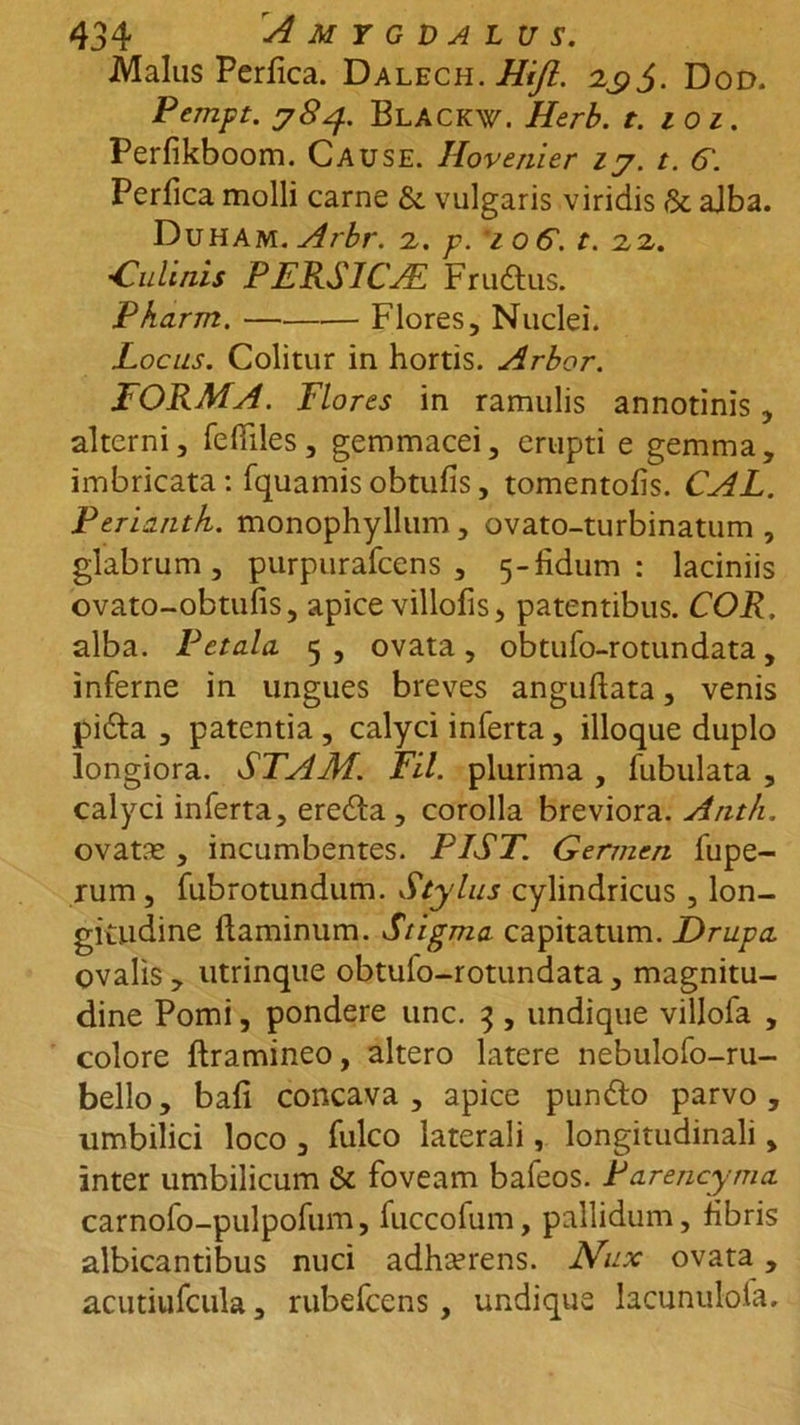 Malus Perfica. Dalech. Hift. zgj. Dod. Pempt. 784. Blackw. Herb. t. 10 1. Perfikboom. Cause. Hovenier 17. t. G. Perfica molli carne &amp; vulgaris viridis &amp; ajba. Duham. Arbr. 2. p. 706. t. 22. Culinis PERSICA Fru&amp;us. Pharm. Flores, Nuclei. Locus. Colitur in hortis. Arbor. FORMA. Flores in ramulis annotinis, alterni, fefiiles, gemmacei, erupti e gemma, imbricata : fquamis obtufis, tomentofis. CAL. Periantk. monophyllum , ovato-turbinatum , glabrum, purpurafeens , 5 - fidum : laciniis ovato-obtufis, apice villofis, patentibus. COR. alba. Petala. 5 , ovata, obtufo-rotundata, inferne in ungues breves anguftata, venis pi&amp;a , patentia , calyci inferta, illoque duplo longiora. STAM. FU. plurima , fubulata , calyci inferta, eredfa , corolla breviora. Anth. ovatae , incumbentes. PIST. Germen fupe- rum , fubrotundum. Stylus cylindricus , lon- gitudine flaminum. Stigma capitatum. Drupa, ovalis, utrinque obtufo-rotundata, magnitu- dine Pomi, pondere unc. 3 , undique villoia , colore ftramineo, altero latere nebulofo-ru- bello, bafi concava, apice pundto parvo, umbilici loco , fulco laterali, longitudinali, inter umbilicum &amp; foveam bafeos. Parencyma. carnofo-pulpofum, fuccofum, pallidum, fibris albicantibus nuci adhaerens. Nux ovata, acutiufcula, rubefeens, undique lacunulofa.