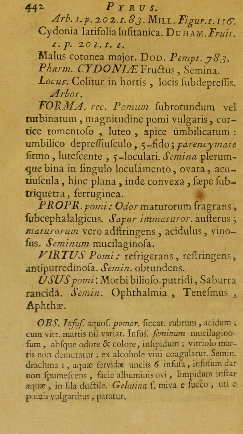 Arb. i.-p.no 2. t. 83. Mill. Figur. 1.11C. Cydonia latifolialufitanica. Duham.Fruit. 1. p. no 1.t. 1. Malus cotonea major. Dod. Pempt. y83. Pharm. CYDONlALYxwdius, Semina. Locus: Colitur in hortis , locis fubdepreflis. Arbor. FORMA, rcc. Pomum fubrotundum vel turbinatum , magnitudine pomi vulgaris, cor- tice tomentofo , luteo , apice umbilicatum : umbilico depreffiulculo, 5-fido; parencymate firmo , lutefeente , 5-loculari. Semina plerum- que bina in fingulo loculamento, ovata, acu- tiufcula, hinc plana, inde convexa, fsepe lub- triquetra, ferruginea. PROPR.pomi: Odor maturorum fragrans, fubcephalalgicus. Sapor irnmaturor. aufterus ; maturorum vero adftringens , acidulus, vino- fus. Seminum mucilaginofa. F1RTUS Pomi: refrigerans, reilringens, antiputredinofa. Semin. obtundens. USUSp orni: Morbi biliofo-putridi, Saburra rancida. Semin. Ophthalmia , Tenefmus , Aphthse. OBS. Infuf. aquof. pomor. ficcat. rubrum , acidum ; cum virr. marcis nil variat. Infuf. feminum mucilagino- fum , abfquc odore <5c colore, infipidum ; vitriolo mar- tis non demutatur; ex alcohole vini coagulatur. Semin. drachma 1, aquae fervidae unciis 6 infufa, infufum dat non fpumefcens , facie albuminis ovi, limpidum inllar aquae, in fila du&amp;ile. Gelatina f. miva e lucco , uti e pontis vulgaribus, paratur»