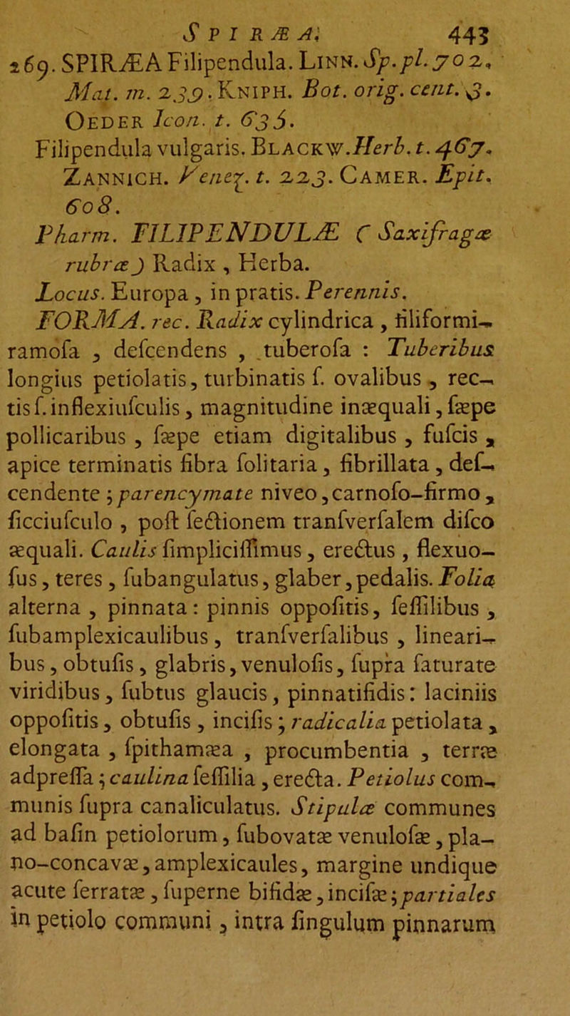 269. SPIRjEA Filipendula. Linn. Sp.pl. 70 2, Mcit. m. 2.37. Kniph. Bot. orig. ccnt. 3. Oeder Icon. t. 63$. Filipendula vulgaris. Blackw.Herb. t. 467. Zannich. Ktnti. t. 2,2,3. Camer. Epii. 608. Pkarm. FILIPENDULA C Saxifraga rubra J Radix , Herba. Locus. Europa , in pratis. Perennis. FORMA, rec. Radix cylindrica , filiformia ramofa , defcendens , tuberofa : Tuberibus longius petiolatis, turbinatis f. ovalibus, rec^ tisf.inflexiufculis, magnitudine inaequali, faepe pollicaribus , faepe etiam digitalibus , fufcis „ apice terminatis libra folitaria, fibrillata , defo cendente ; parencymate niveo ,carnofo-firmo , ficciufculo , poft fe&amp;ionem tranfverfalem difco aequali. Caulis fimplicilfimus, ere&amp;us , flexuo- fus, teres, fubangulatus, glaber,pedalis. Folia alterna , pinnata: pinnis oppolitis, felfilibus , fubamplexicaulibus, tranfverfalibus , lineari-r bus, obtufis, glabris, venulofis, fupra faturate viridibus, fubtus glaucis, pinnatifidis: laciniis oppolitis, obtufis, incilis; radicalia petiolata , elongata , fpithamaea , procumbentia , terrae adprefta ; caulina felfilia , eredla. Petiolus com-, munis fupra canaliculatus. Stipula communes ad bafin petiolorum, fubovatae venulofae, pla- no-concavae,amplexicaules, margine undique acute ferratae,fuperne bifidae, i ncifae;partiales in petiolo communi, intra fingulum pinnarum