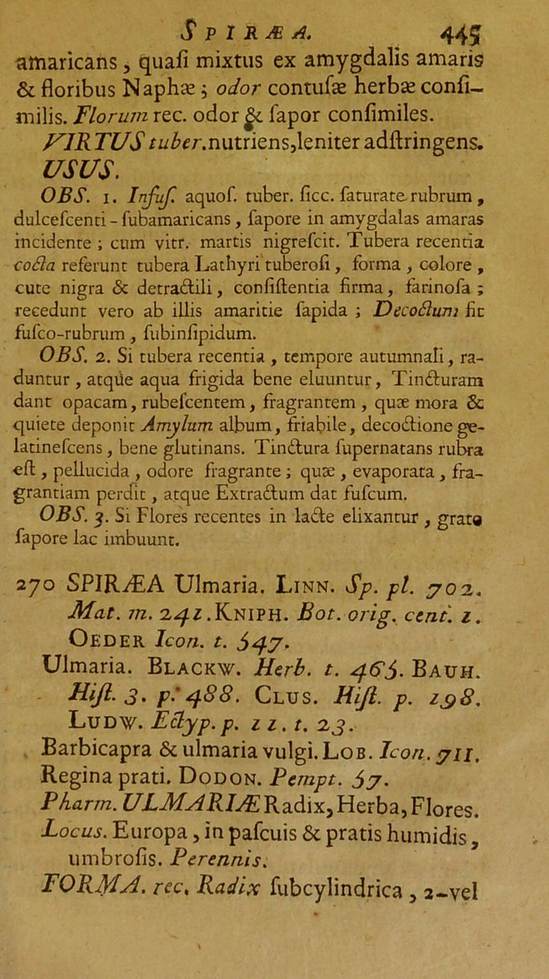 amaricans, quafl mixtus ex amygdalis amaris &amp; floribus Naphte; odor contufle herbse conii-, milis. Florum rec. odor fapor confimiles. U1R TUS r^er.nutriens, leniter adftringens. USUS. OBS. i. Infuf. aquof. tuber, ficc. faturate.rubrum , dulcefcenti - fubamaricans, fapore in amygdalas amaras incidente ; cum vitr. martis nigrefcit. Tubera recenna coSla referunt tubera Lathyri tuberofi , forma , colore , cute nigra <Sc detra&amp;ili, confidentia firma, farinofa ; recedunt vero ab iliis amaritie fapida ; Decodlum fic fufco-rubrum, fubinfipidum. OBS. 2. Si tubera recentia , tempore autumnali, ra- duntur , atqtie aqua frigida bene eluuntur, Tinduram dant opacam, rubelcentem, fragrantem , quce mora &amp; quiete deponit Amylum album, friabile, decoftione ge- latinefcens, bene glutinans. Tinftura fupernatans rubra cfl, pellucida , odore fragrante ; quae , evaporata , fra- grantiam perdit, atque Extra&amp;um dat fufcum. OBS. ?. Si Flores recentes in la&amp;e elixantur , grato fapore lac imbuunt. 270 SPIRyEA Ulmaria. Linn. Sp. pl. 302. Mat. m. .Kniph. Bot. orig. ccnt. 1. Oeder Icon. t. Ulmaria. Blackw. Herb. t. 46$. Bauh. FUJI. 3' p.'4-88. Clus. FUJI. p. 138. LuD¥. Eclyp. p. iz.t.2,3. Barbicapra &amp; ulmaria vulgi. Lob. Icon. <711, Regina prati. Dodon. Pempt. $7. Pkarm. ULMARIAERadix,Herba,Flores. Locus. Europa, in pafcuis &amp; pratis humidis, umbrofis. Perennis. FORMA, rec. Radix fubcylindrica , 2-vel