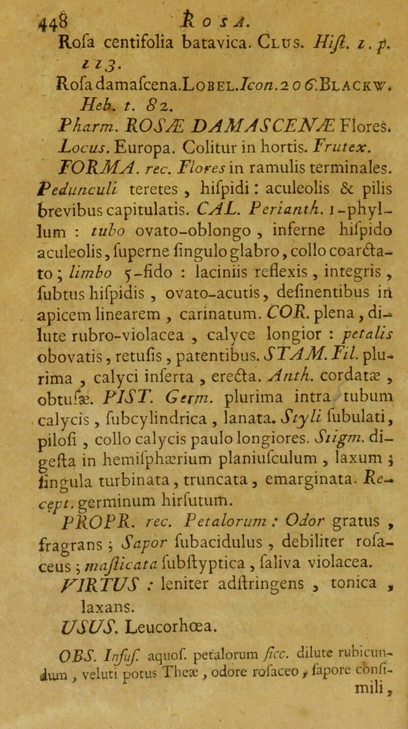 44S &amp; o s A. Rofa centifolia batavica. Clus. Hifl. i.p. 113. Rofadamafcena.LoBEL.7cwz.2 0 (TBlackw. Heb. t. 8 2. Pkarm. ROS/E DAMASCENA!, Flores* Locus. Europa. Colitur in hortis. Frutex. FORMA, rec. Flores in ramulis terminales. Pedunculi teretes , hifpidi: aculeolis &amp; pilis brevibus capitulatis. CAL. Periamk. j-phyl- lum : tubo ovato-oblongo , inferne hilpido aculeolis, fuperne Angulo glabro, collo coardta- to; limbo 5-fido : laciniis reflexis, integris, fubtus hifpidis , ovato-acutis, delinentibus iri apicem linearem , carinatum. COR. plena, di-» lute rubro-violacea , calyce longior : petalis obovatis, retufis, patentibus. STAM. Fil. plu- rima , calyci inferta , erefta. Antk. cordatas , obtufas. P1ST. Gerrn. plurima intra tubum calycis , fubcylindrica , lanata. Styli iubulati, pilofi , collo calycis paulo longiores. Siigm. di- gefta in hemilphasrium planiufculum , laxum $ lingula turbinata, truncata, emarginata. Re- cept. germinum hirfuturti. ' PROPR . rec. Petalorum : Odor gratus , fragrans ; Sapor fubacidulus , debiliter rofa- ceus ; maflicata fubftyptica , faliva violacea. VIRTUS : leniter adflringens , tonica , laxans. USUS. Leucorhcea. ORS. Infuf. aquof. petalorum ficc. dilute rubicun- ium , veluti potus These , odore rofaceo , fapore confi- mili,