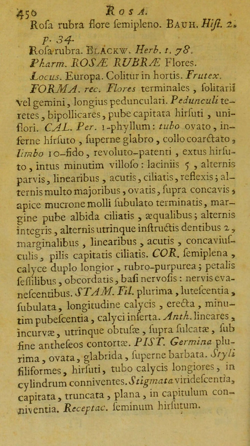 ^50 R O S A. Rofa rubra flore femipleno. Bauh. Hijt. i> P- 34- Rofvrubra. BlXckw. Herb. r. yS. Fkarm. ROSdE RUBRdE Flores. Locus. Europa. Colitur in hortis. Frutex. FORMA, rec. Flores terminales , folitarii Vel gemini, longius pedunculari. Pedunculi te- retes 3 bipollicares, pube capitata hirfuti , uni- flori. CAL. Per. i -phyllum: tubo ovato , in- ferne hirfuto , fuperne glabro , collo coardato , limbo 10-fido, revoluto-patenti , extus hirfu- to , intus minutim villofo: laciniis 5 , alternis parvis, linearibus, acutis,ciliatis,reflexis; al- ternis multo majoribus, ovatis, fupra concavis , apice mucrone molli fubulato terminatis, mar- gine pube albida ciliatis , aqualibus; alternis integris, alternis utrinque inftrudis dentibus a , marginalibus , linearibus , acutis , concaviul- culis, pilis capitatis ciliatis. COR. femiplena , calyce duplo longior, rubro-purpurea; petalis feflllibus , obcordatis, bafi nervofis : nervis eva- nefcentibus. STAM. FU. plurima, lutefcentia , fubulata, longitudine calycis , ereda , minu- tim pubefcentia, calyci inferta. Anth. lincai es, incurveE, utrinque obtufte , lupra filicatas, iub fine anthefeos contortee. PIST. Germina plu- rima, ovata, glabrida, fuperne barbata. Styli filiformes, hirfuti, tubo calycis longiores, m cylindrum conniventes. Stigmata.viridefcentia, capitata, truncata , plana, in capitulum con- niventia. Receptae, feminum hirfutum.