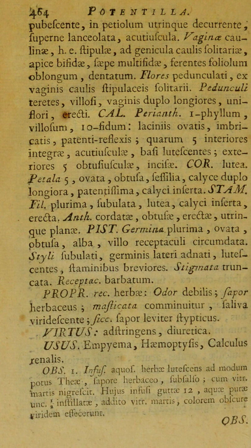 >J.54 POTENTILLJ. pubefcente, in petiolum utrinque decurrente, fuperne lanceolata, acutiufcula. Uignee cau- linse, h. e. ftipulce, ad genicula caulis folitarias, apice bifidas, fcepe multifidce, ferentes foliolum oblongum , dentatum. Flores pedunculati, ex vaginis caulis Aipulaceis folitarii. Peduncule teretes, villofi, vaginis duplo longiores, uni- flori, ere&amp;i. CAL. Perianth. i-phyllum, villofum, io-fidum: laciniis ovatis, imbri- catis , patenti-reflexis i quarum 5 interiores integras, acutiufcula;, bafi lutefcentes; exte- riores 5 obtufiufculce, incilas. COR. lutea. Petala 5, ovata, obtufa, feflilia, calyce duplo longiora, patentiflima, calyci inferta. STAM. Fil. plurima, fubulata, lutea, calyci inferta, ere&amp;a, Anth. cordata, obtufas, eredtas, utrin- que plance. PIST. Germina plurima , ovata , obtula, alba , villo receptaculi circumdata. Styli lubulati, germinis lateri adnati, lutef- centes , flaminibus breviores. Stigmata trun- cata. Receptae, barbatum. PROPR. rec. herbee: Odor debilis; fapor herbaceus ; mafiicata comminuitur , faliva viridefeente \ficc. lapor leviter flypticus. JAIRTUS : adftringens, diuretica. USUS. Empyema, Hasmoptyfis, Calculus /enalis. OBS. 1. Infuf. aquof. herbee lutefcens ad modum potus Thesc , fapore herbaceo, fublalfo ; cum vitr. martis nigrefeit. Hujus infufi gutta: 12 , aqux purte Unc. ' inflillatx , addito vitr. martis, colorem oblcure viridem effecerunt.