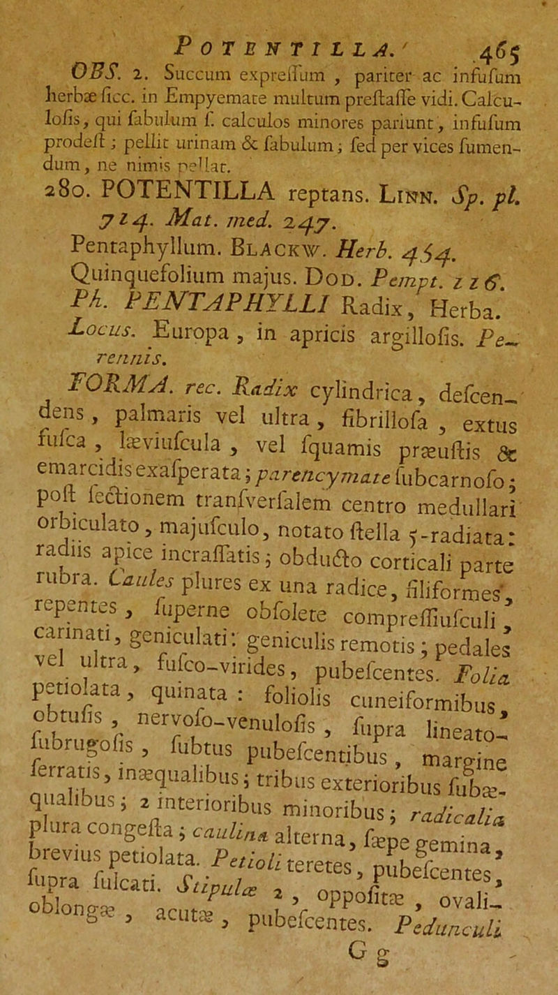 POTENTILLA.' 46$ OBS. 2. Succum expreilum , pariter ac infufum herbae ficc. in Empyemate multum preflaffe vidi. Calcu- lo/is, qui fabulum 1. calculos minores pariunt, infufum prodeit; pellit urinam &amp; fabulum; fed per vices futuen- dum, ne nim*s pellar. 280. POTENTILLA reptans. Linn. Sp. pl. 7l4~ Mat. med. 247. Pentaphyllum. Blackw. Herb. 4.54. Quinquefolium majus. Dod. Ptmvt nS Ph. PENTAPHYLLI Radix, Herba.' Locus. Europa , in apricis argillofis. Pe- r e nuis. FORMA, rec. Radix cylindrica, defen- dens , palmaris vel ultra , fibrillofa , extns lrilca , lasviufcula , vel fquamis prasuftis &amp; emarcidis exafperata; farencymate fubcarnofo; polt lectionem tranfverfalem centro medullari orbiculato, majufculo, notato ftella «-radiata* radiis apice incraffatis; obduflo corticali parte niora. Caules plures ex una radice, filiformes, repentes, fuperne obfolete compreffiufculi, carinat,, geniculati: geniculis remotis ; pedales . ''! ’ trico—virides, pubelcentes. Folia. petio ata, quinata : foliolis cuneiformibus, obtufis nervolo-venulofis, fupra lineato- fubrugolis, fubtus ptibefentibus, margine errati,, inaequalibus; tribus exterioribus fuba. qualibus, 2 interioribus minoribus; radie alia plura congefta; caulina alterna, bL gemina brevius petiolata. Petioli Kretes, pubefcSites’ ] v °™oL o - , acute, pubefentes. Pedunculi G g