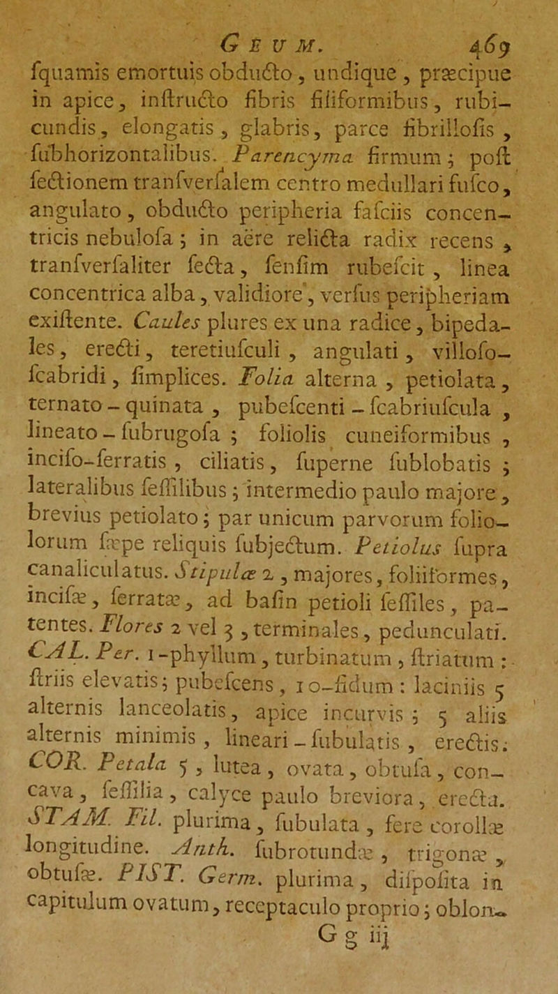 fquamis emortuis obdudo, undique, prsecipue in apice, inftrudo fibris filiformibus, rubi- cundis, elongatis, glabris, parce fibrillofis , fubhorizontalibus. Parencyrna firmum ; pofl fedionem tranfverfalem centro medullari fufco, angulato, obdudo peripheria fafciis concen- tricis nebulofa ; in aere relida radix recens , tranfverfaliter feda, fenfim rubefcit , linea concentrica alba, validiore, verfus peripheriam exifiente. Caules plures ex una radice, bipeda- les , eredi, teretiufculi , angulati, villofo- fcabridi, fimplices. Folia alterna , petiolata, ternato - quinata , pubcfcenti - fcabriufcula , lineato - lubrugola ; foliolis cuneiformibus , incifo-ferratis , ciliatis, fuperne fublobatis ; lateralibus felfilibus; intermedio paulo majore, brevius petiolato; par unicum parvorum folio- lorum fxpe reliquis fubjedum. Petiolus fupra canaliculatus. Stipulae2., majores, foliiformes, incifie, ferrata, ad bafin petioli felfiles, pa- tentes. Flores 2 vel 3 , terminales, pedunculari. Per. i-phyilum, turbinatum , flriatum : feriis elevatis; pubefeens, 10-fidum: laciniis 5 alternis lanceolatis, apice incurvis; 5 aliis alternis minimis , lineari-Tubulatis , eredis. COR. Petala 5 , lutea , ovata , obtufa, con- cava , feflilia, calyce paulo breviora, eredu. STAM. FU. plurima, fubulata , fere eorollse longitudine. Anth. fubrotundae, trigonce y obtufe. PIST. Germ. plurima, diipoiita ia capitulum ovatum, receptaculo proprio; oblon«. Gg H