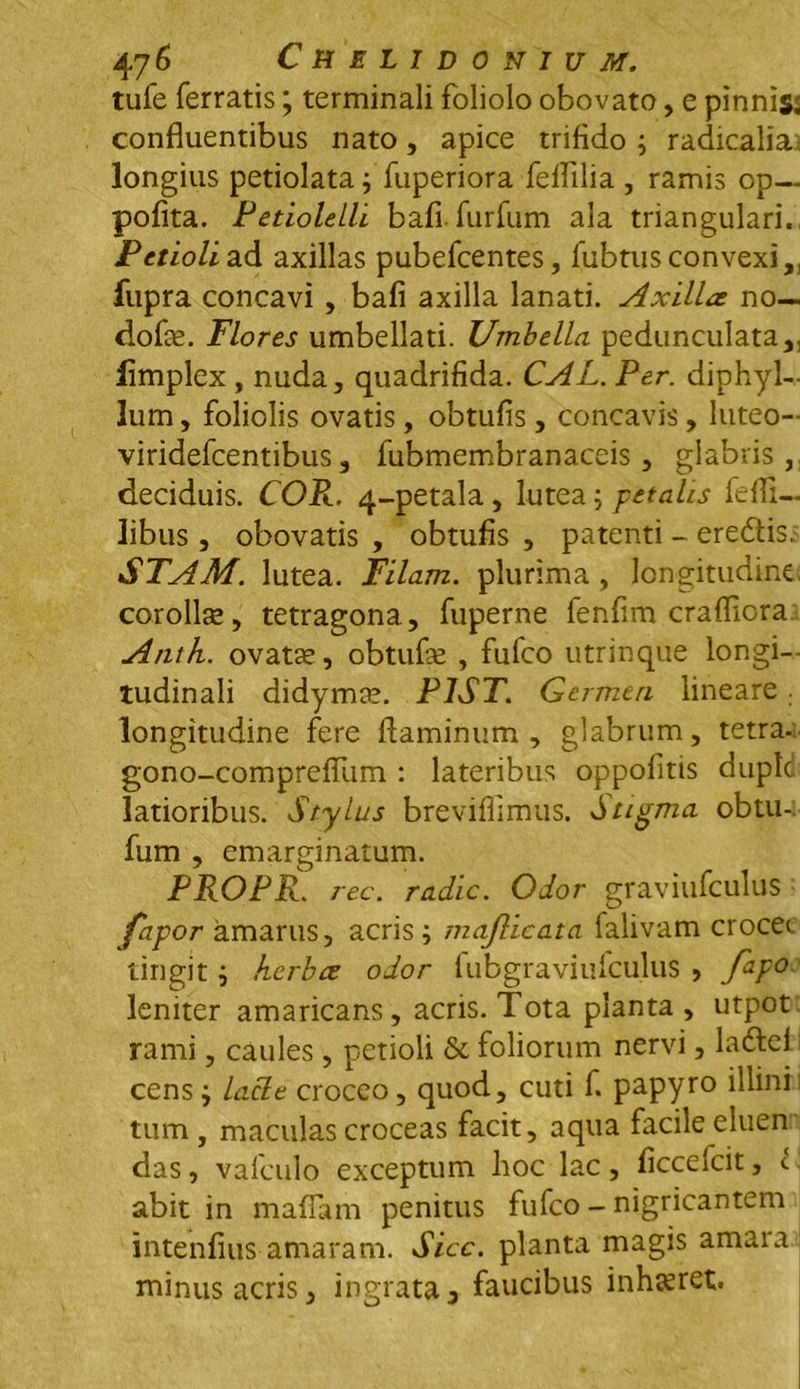 tufe ferratis; terminali foliolo obovato, e pinnis: confluentibus nato, apice trifido ; radicaliai longius petiolata f fuperiora feflilia , ramis op— pofita. Petiolelli bafi. furfum ala triangulari. Petioli ad axillas pubefcentes, fubtus convexi,, fupra concavi , bafi axilla lanati. Axilla no— dofas. Flores umbellati. Umbella pedunculata, limplex, nuda, quadrifida. CAL.Per. diphyl- lum, foliolis ovatis, obtufis, concavis, luteo- viridefcentibus, fubmembranaceis, glabris, deciduis. COR.. 4-petala, lutea; petalis fefli— libus, obovatis , obtufis , patenti - eredis. STAM. lutea. Filam. plurima, longitudine corollse, tetragona, fuperne fenfim crafliora Anth. ovatas, obtufse , fufco utrinque longi- tudinali didymas. P1ST. Germen lineare . longitudine fere flaminum, glabrum, tetra- gono-comprefllim : lateribus oppofitis dupld latioribus. Stylus breviflimus. Stigma obtu- fum , emarginatum. PROPR. rec. radie. Odor graviufculus fapor amarus, acris ; majlieata falivam crocee tingit i herbae odor fubgraviufculus , fipo leniter amaricans, acris. Tota planta , utpot rami, caules, petioli & foliorum nervi, ladei cens} lacie croceo, quod, cuti f. papyro illini tum, maculas croceas facit, aqua facile eluen das, valculo exceptum hoc lac, ficcefcit, t abit in mafiam penitus fufco - nigricantem intenfius amaram. Sicc. planta magis amara minus acris, inarata-, faucibus inhasret.