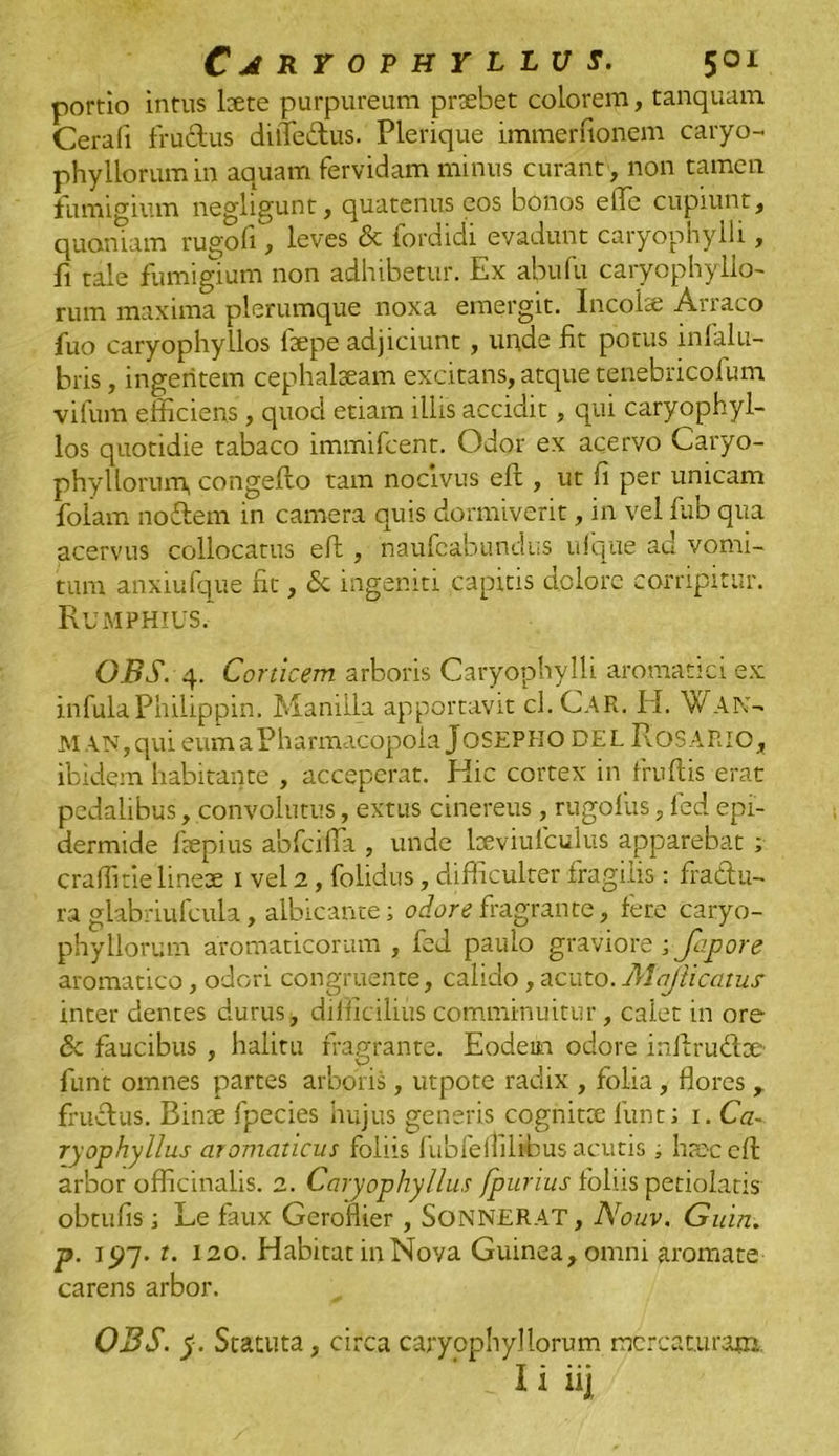 portio intus kete purpureum proebet colorem, tanquam Cerafi fructus ditTe&us. Plerique immerftonem caryo- phyllorum in aquam fervidam minus curant , non tamen fiimigium negligunt, quatenus eos bonos efle cupiunt, quoniam rugofi, leves & fordidi evadunt caryophylli, ft tale fumigium non adhibetur. Ex abufu caryophyllo- rum maxima plerumque noxa emergit. Incolse Arraco fuo caryophyllos fiepe adjiciunt, unde fit potus infalu- bris, ingentem cephalaeam excitans, atque tenebricofum vifum efficiens, quod etiam illis accidit, qui caryophyl- los quotidie tabaco immifcent. Odor ex acervo Caryo- phyllorum, congefto tam nocivus elt, ut fi per unicam folam nodem in camera quis dormiverit, in vel fub qua acervus collocatus eft , naufcabundus uique ad vomi- tum anxiufque fit, <5e ingeniti capitis dolore corripitur. Rumphius, OBS. 4. Corticem arboris Caryophylli aromatici ex infulaPhilippin. Manilia apportavit cl. CAR. II. WAN- M AN, qui eum a Pharmacopola JOSEPHO DEL R.OSARIO, ibidem habitante , acceperat. Hic cortex in frudis erat pedalibus, convolutus, extus cinereus, rugofus, fed epi- dermide fiepius abfcifia , unde lseviufculus apparebat ; craflitielinese I vel 2 , folidus, difficulter fragilis : fradlu- ra glabriufcula, albicante; odore fragrante, fere caryo- phyllorum aromaticorum , fed paulo graviore; Japore aromatico, odori congruente, calido, acuto.Majiicaius inter dentes durus, difficilius comminuitur, calet in ore- <3c faucibus , halitu fragrante. Eodem odore inftrudte funt omnes partes arboris, utpote radix , folia, flores, frudtus. Binte fpecies hujus generis cognitte funt; 1. Ca- ryophyllus aromaticus foliis fubfeitilibus acutis; haec eft arbor officinalis. 2. Caryophy/lus /purius foliis petiolatis obtufis; Le faux Geroilier, SoNNERAT, Nouv. Guin. p. 197. t. 120. Habitat in Nova Guinea,omni aromate carens arbor. OBS. y. Statuta, circa caryophyllorum mercaturam i 1 iij