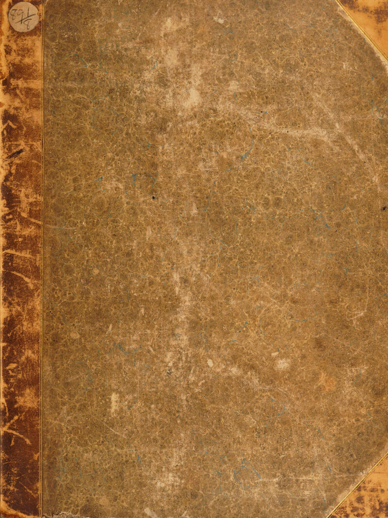 No text description is available for this image