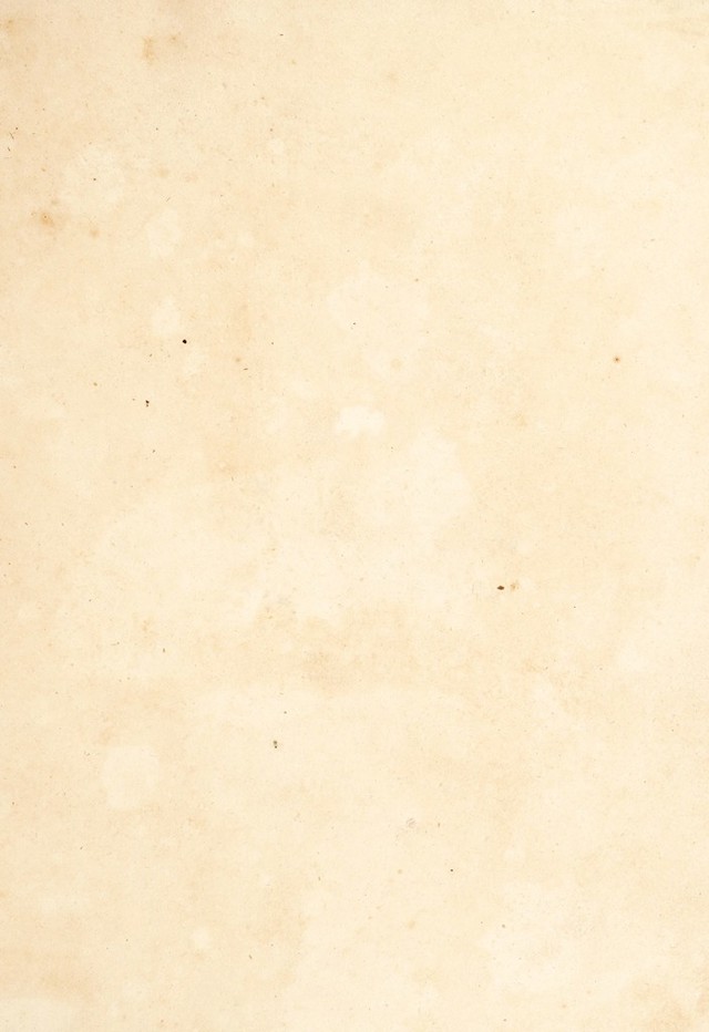 digitised image 3