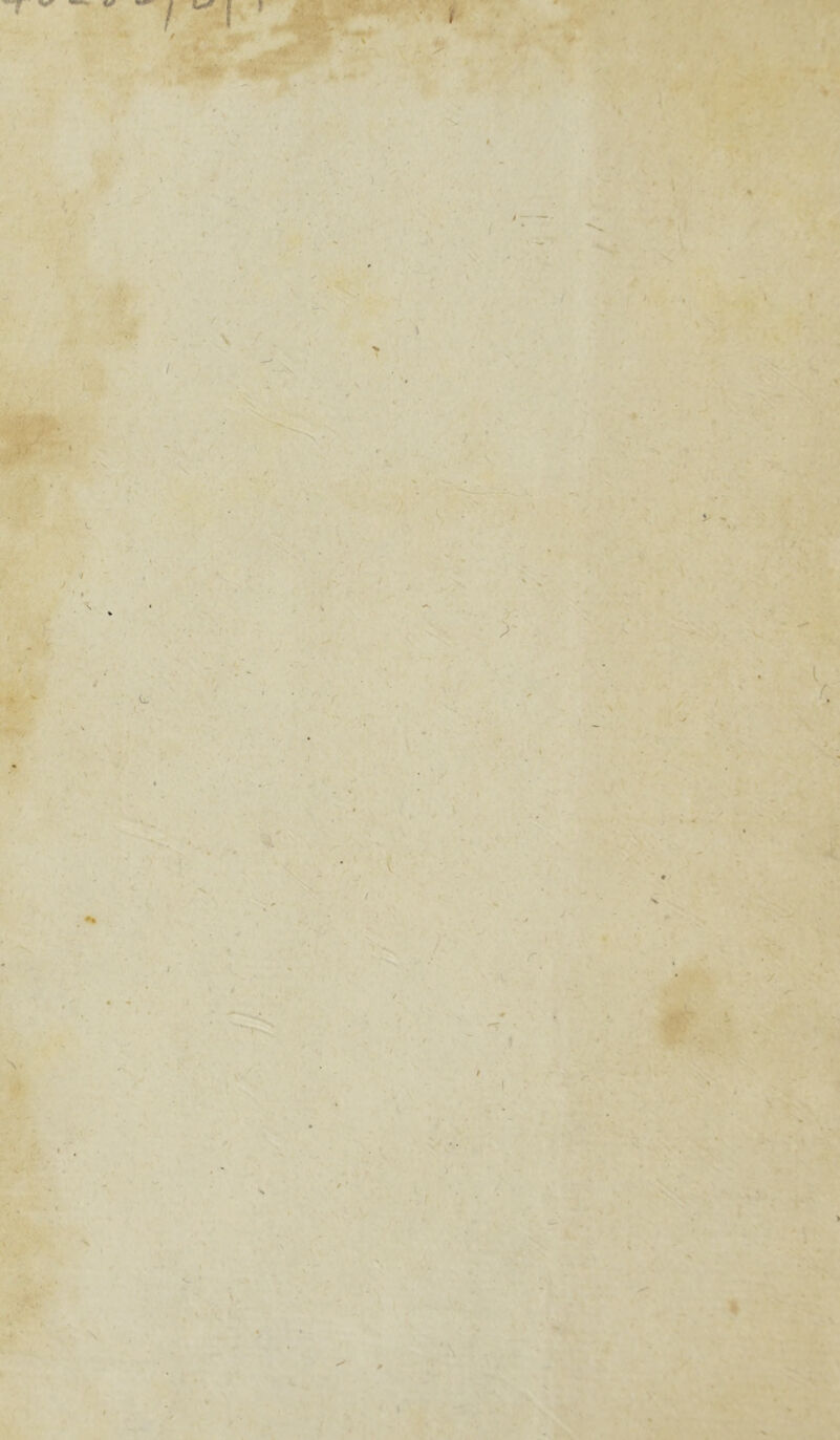 i t ' \ 1 i S 1 ' . K N. . \ •y ' :> •Vf • \ f » V» V / v VJ » Vi. J ■ J>- 4 tr , Sr %• , t <- r- • * V