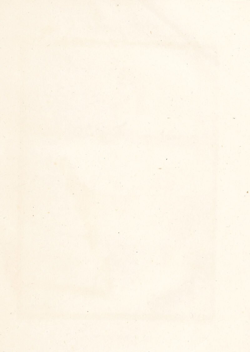 / l /■ t ) J \ \ c J ) S t l