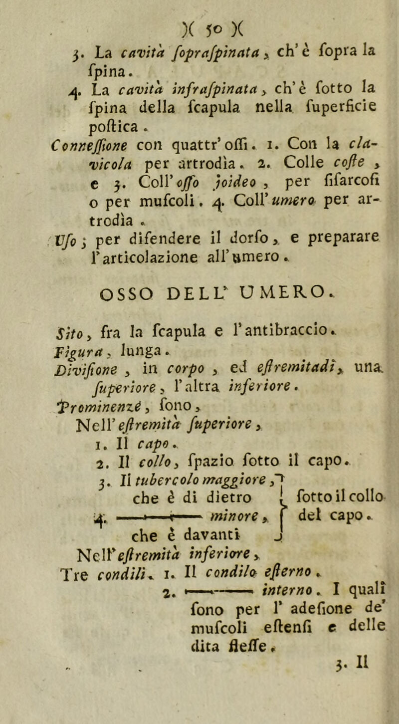 j. La cavita foprafpinata > eh’è fopra la fpina. j\. La cavita infr affinata > eh’è fotto la fpina della fcapula nella fuperficie poftica . Conneffione con quattr’oflì. i. Con la cla- vicola per artrodìa. 2. Colle cofle , e 3. Coll’0/0 joìdeo , per fifarcofì o per mufcoli. 4. Coll’ unterò per ar- trodìa . IT/ò ; per difendere il dorfo, e preparare rarticolazione all’omero» OSSO DELL’ UMERO. SìtOy fra la fcapula e l’antibraccio. figura, lunga. Divifiom , in corpo , ed ejlremitadìy una. fuperiore, l’altra inferiore. Prominenza, fono, Nell’ejìremità fuperìore, 1. Il capo. 2. Il collo, fpazio fotto il capo. 3. Il tubercolo maggiore che è di dietro 1 fotto il collo A. ■ ■ . j \—— minore y f del capo, che è davanti J NelYefiremita inferiore > Tre condili. 1. Il condilo efierno. 2. — interno . I quali fono per 1’ adefione de’ mufcoli eftenfi e delle dita tìefle, 3- Il