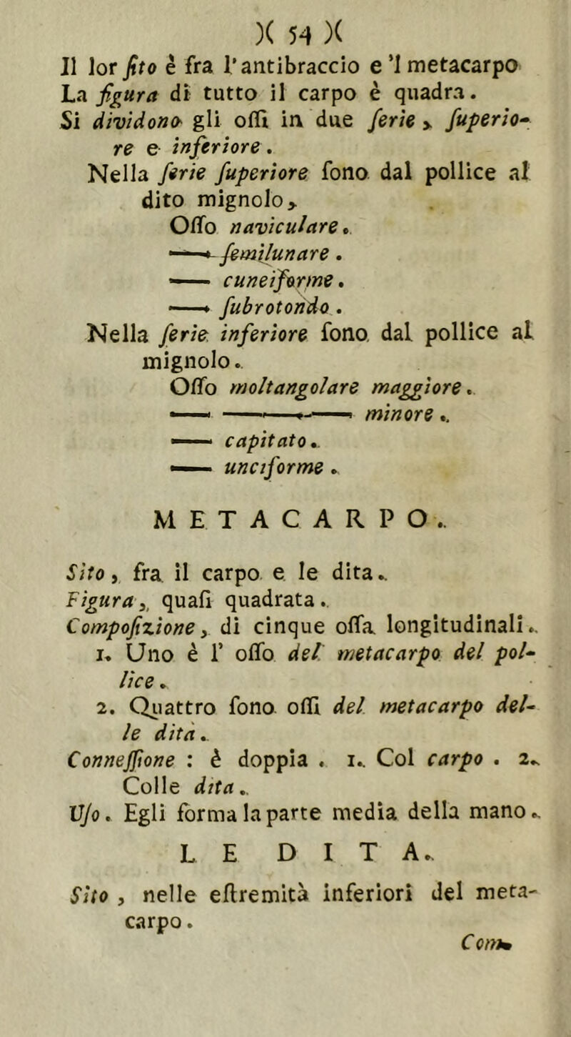 J1 lor fito è fra l’antibraccio e ’I metacarpo La figura di tutto il carpo è quadra. Si dividono- gli olii in, due ferie > fuperio- re e inferiore. Nella ferie fuperiore fono dal pollice al dito mignolo» Olio naviculare. -—*-femilunare. — cuneiforme. —* fibrotondo . Nella ferie inferiore fono dal pollice al mignolo. O/To mo/tangolare maggiore « —— —*• minore .. —- capitato.. —— una forme . METACARPO.. Sito, fra il carpo e le dita Figuray quali quadrata. Compofizioney di cinque offa longitudinali.. 1. Uno è f olio deli metacarpo del pol- lice . 2. Quattro fono olii del metacarpo del- le dita.. ConneJJìone : è doppia . k Col carpo . 2. Colle dita.. VJo. Egli forma la parte media della mano». LE DITA. Sito , nelle eftremita inferiori del meta- carpo. Comm