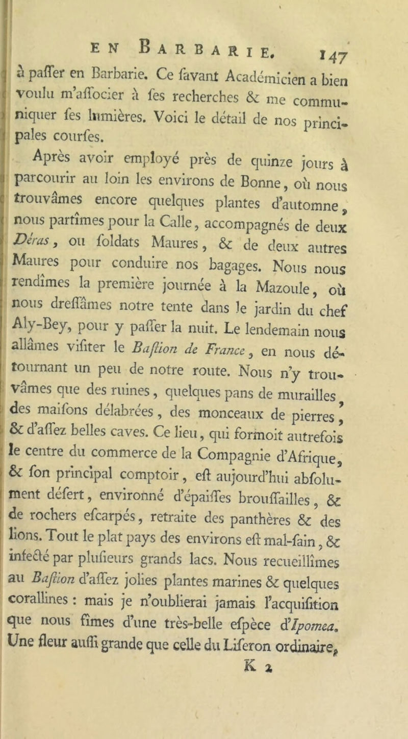 îj palier en Barbarie. Ce lavant Académicien a bien voulu m’affocier à fes recherches & me commu- niquer fes lumières. Voici le détail de nos princi- pales courfes. Après avoir employé près de quinze jours à parcourir au loin les environs de Bonne, oii nous trouvâmes encore quelques plantes d’automne, nous partîmes pour la Galle, accompagnés de deux Détas, ou foldats Maures, & de deux autres Maures pour conduire nos bagages. Nous nous rendîmes la première journée à la Mazoule, oii nous dreffâmes notre tente dans le jardin du chef Aiy-Bey, pour y palier la nuit. Le lendemain nous allâmes vifiter le Baflion de France, en nous dé- tournant un peu de notre route. Nous ny trou- vâmes que des ruines, quelques pans de murailles des maifons délabrées, des monceaux de pierres \ & dallez belles caves. Ce lieu, qui formoit autrefois le centre du commerce de la Compagnie d’Afrique, & fon principal comptoir, eft aujourd’hui abfolu- ment défert, environné d’épaifles brouffailles, & de rochers efcarpés, retraite des panthères & des lions. Tout le plat pays des environs eft mal-fain, & infeaé par plufieurs grands lacs. Nous recueillîmes au Baflion dallez jolies plantes marines & quelques corallines : mais je n’oublierai jamais l’acquifition que nous fîmes d’une très-belle efpèce à’Ipomea. Une fleur aulîi grande que celle du Liferon ordinaire,