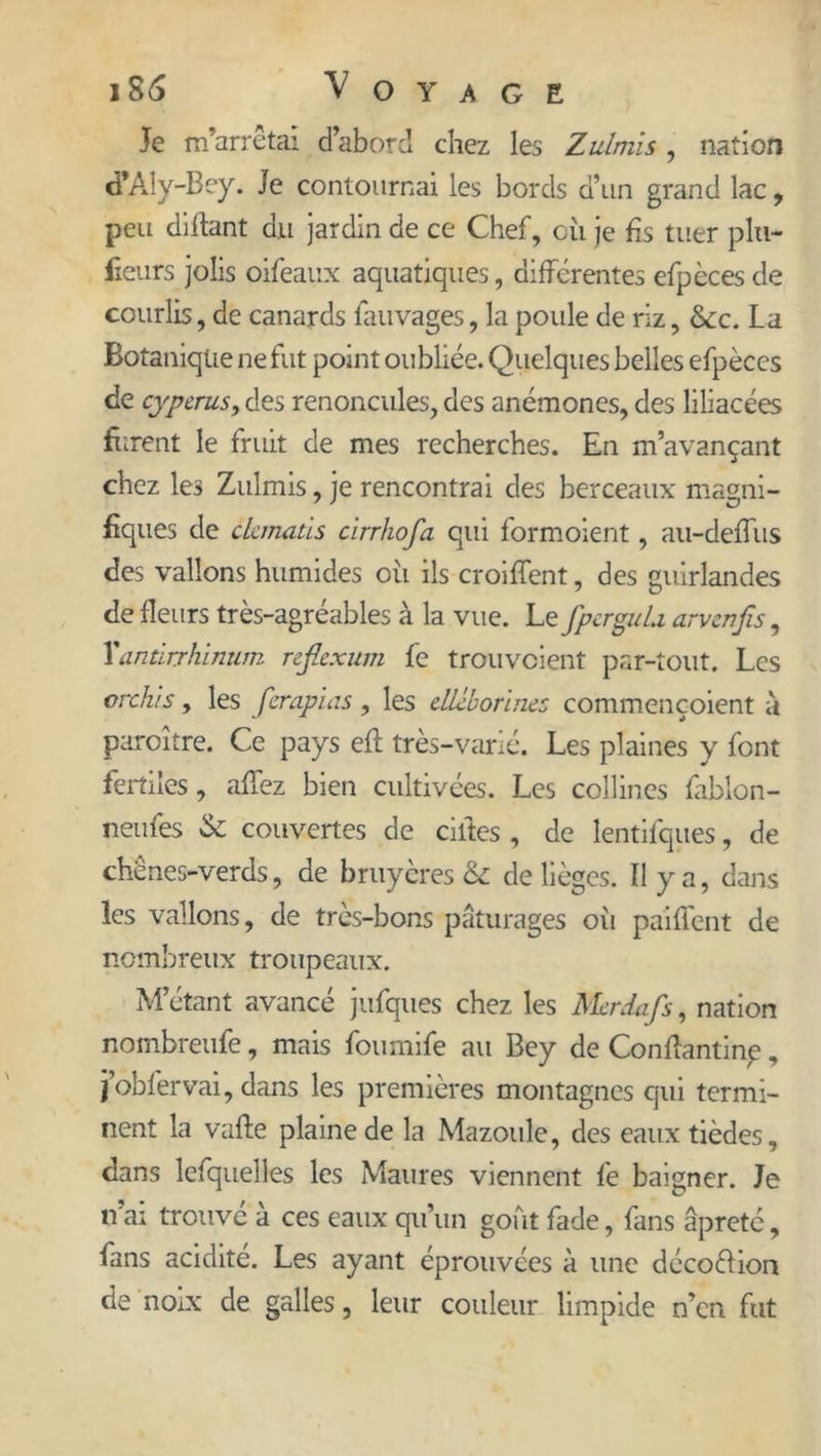 Je m’arrêtai d’abord chez les Zulmls, nation d*Aly-Bey. Je contournai les bords d’un grand lac, peu disant du jardin de ce Chef, où je fis tuer plti- fieurs jolis oifeaux aquatiques, différentes efpèces de courlis, de canards fauvages, la poule de riz, &c. La Botanique ne fut point oubliée. Quelques belles efpèces de cyperus, des renoncules, des anémones, des liliacées furent le fruit de mes recherches. En m’avançant chez les Zulmis, je rencontrai des berceaux magni- fiques de clcmatls cirrhofa qui formoient, au-deffus des vallons humides oii ils croiffent, des guirlandes de fleurs très-agréables à la vue. Le fpergulu arvcnfis, l'anàrrhinum reflexum fe trouvcient par-tout. Les orchis y les fcrapias , les düborincc commençoient a paroître. Ce pays efi: très-varié. Les plaines y font fertiles, affez bien cultivées. Les collines fablon- neufes & couvertes de cilfes , de lentifques, de chenes-verds, de bruyères & de lièges. Il y a, dans les vallons, de très-bons pâturages oii paiffent de nombreux troupeaux. M’étant avancé jufques chez les Mcrdafs, nation nombreufe, mais foumife au Bey de Confîantinp, jobfervai, dans les premières montagnes qui termi- nent la vafte plaine de la Mazoule, des eaux tièdes, dans lefquelles les Maures viennent fe baigner. Je irai trouve a ces eaux qu’un goût fade, fans âpreté, fans acidité. Les ayant éprouvées à une décoélion de noix de galles, leur couleur limpide n’en fut