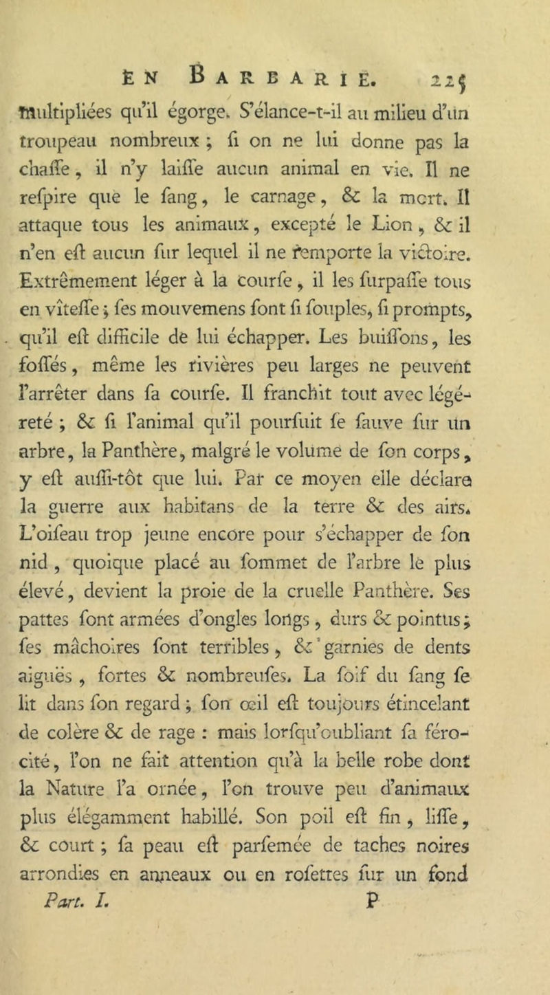Multipliées qu’il égorge. S’élance-t-il au milieu d’un troupeau nombreux ; fi on ne lui donne pas la chafte, il n’y laifl'e aucun animal en vie. Il ne refpire que le fang, le carnage, & la mort. Il attaque tous les animaux, excepté le Lion , & il n’en eft aucun fur lequel il ne remporte la victoire. Extrêmement léger à la courfe, il les furpafîe tous en vîtelTe ; Tes mouvemens font fi fouples, fi prompts, qu’il eft difficile de lui échapper. Les buiffons, les foftes, même les rivières peu larges ne peuvent l’arrêter dans fa courfe. Il franchit tout avec légè- reté ; & fi l’animal qu’il pourfuit le fauve fur Un arbre, la Panthère, malgré le volume de fon corps, y eft auffi-tôt que lui. Par ce moyen elle déclara la guerre aux habitans de la terre & des airs* L’oifeau trop jeune encore pour s’échapper de fon nid , quoique placé au fommeî de l’arbre le plus élevé, devient la proie de la cruelle Panthère. Ses pattes font armées d’ongles longs, durs & pointus ; fes mâchoires font terribles, &: ' garnies de dents aiguës , fortes & nombreufes. La foif du fang fe lit dans fon regard ; fon œil eft toujours étincelant de colère & de rage : mais lorfqu’oubliant fa féro- cité , l’on ne fait attention qu’à la belle robe dont la Nature l’a ornée, l’on trouve peu d’animaux plus élégamment habillé. Son poil eft fin > lifte, & court ; fa peau eft parfemée de taches noires arrondies en anneaux ou en rofettes fur un fond Pari. I. P
