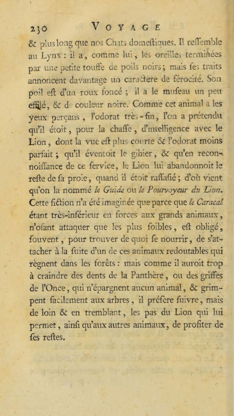 &amp; plus long que nos Chats domeftiques. Il reflemble au Lynx: il a, comme luiy les oreilles terminées par une petite touffe de poils noirs ; nuis fes traits annoncent davantage un caractère de férocité. Son pcd eft d’un roux foncé ; il a le mufeau un peu efifié, &amp; d couleur noire. Comme cet animal a les yeux perçans , l’odorat très - fin, l’on a prétendu qu’il étoit, pour la chaffe, d’intelligence avec le Lion, dont la vue eft plus courte &amp; l’odorat moins parfait ; qu’il éventoit le gibier, &amp; qu’en recon* noiflance de ce fervice, le Lion lui abandonnoit le refte de fa proie, quand il étoit rafïafié ; d’où vient qu’on la nommé le Guide ou le Pourvoyeur du Lion. Cette fiftion n’a été imaginée que parce que le Caracal étant très-inférieur en forces aux grands animaux, n’ofant attaquer que les plus foibles, eft obligé, fouvent, pour trouver de quoi fe nourrir, de s’at- tacher à la fuite d’un de ces animaux redoutables qui régnent dans les forêts : mais comme il auroit trop à craindre des dents de la Panthère, ou des griffes de l’Once, qui n’épargnent aucun animal, &amp; grim- pent facilement aux arbres, il préfère fuivre, mais de loin &amp; en tremblant, les pas du Lion qui lui permet, ainfi qu’aux autres animaux, de profiter de fes reftes.