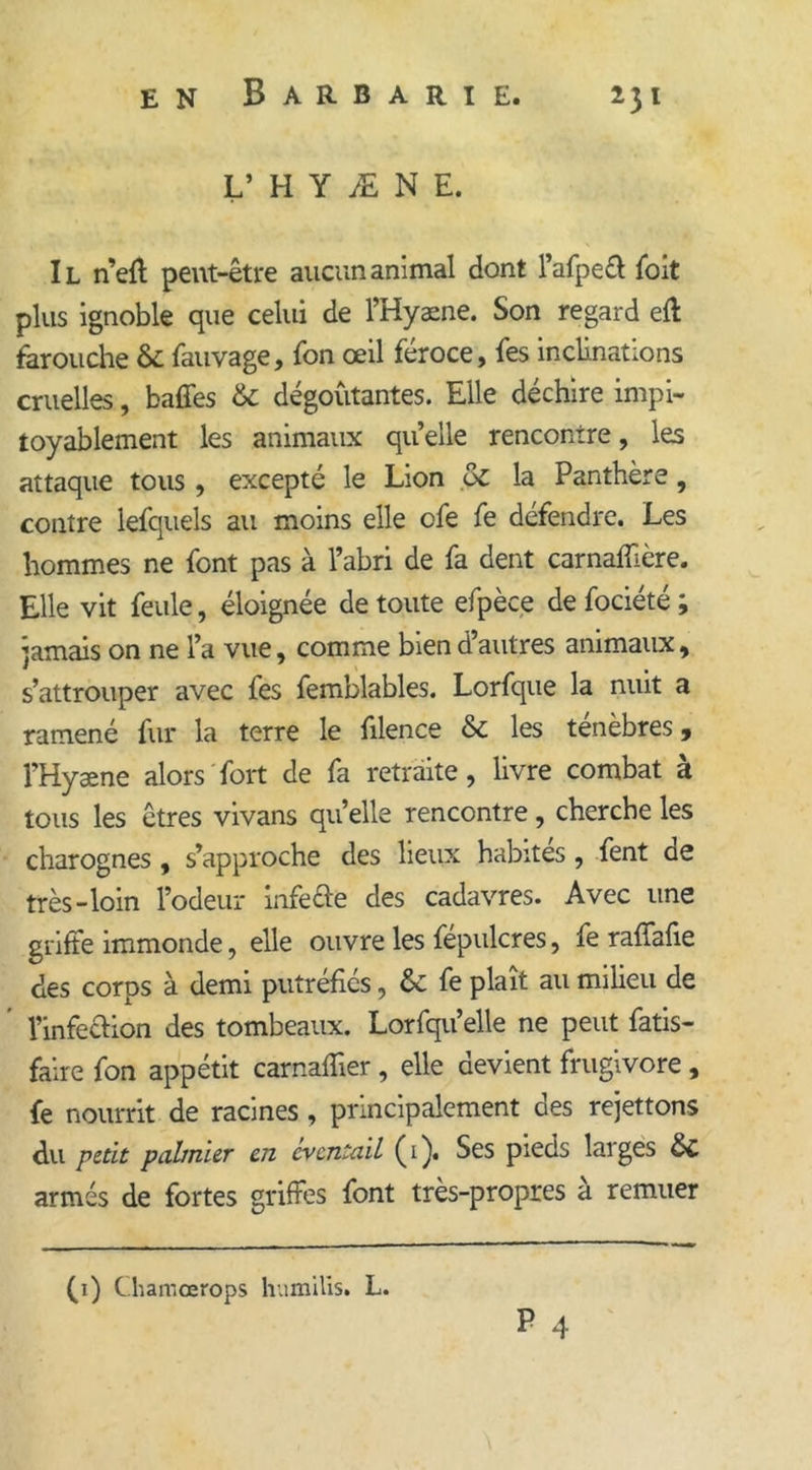 L’HYÆNE. Il n’eff peut-être aucun animal dont l’afp e cl foit plus ignoble que celui de l’Hyæne. Son regard cil farouche &amp; fauvage, fon œil féroce, fes inclinations cruelles, baffes &amp; dégoûtantes. Elle déchire impi- toyablement les animaux quelle rencontre, les attaque tous, excepté le Lion &amp; la Panthère, contre lefquels au moins elle ofe fe défendre. Les hommes ne font pas à l’abri de fa dent carnaffière. Elle vit feule, éloignée de toute efpèce defociété; jamais on ne l’a vue, comme bien d’autres animaux, s’attrouper avec fes femblables. Lorfque la nuit a ramené fur la terre le filence &amp; les ténèbres, l’Hyæne alors fort de fa retraite, livre combat à tous les êtres vivans qu’elle rencontre, cherche les charognes , s’approche des lieux habites, fent de très-loin l’odeur infeae des cadavres. Avec une griffe immonde, elle ouvre les fépulcres, fe raffafie des corps à demi putréfiés, &amp; fe plaît au milieu de l’infeaion des tombeaux. Lorfqu’elle ne peut fatis- faïre fon appétit carnaffier , elle devient frugivore , fe nourrit de racines , principalement des rejettons du petit palmier en éventail (i). Ses pieds larges &amp; armés de fortes griffes font très-propres a remuer