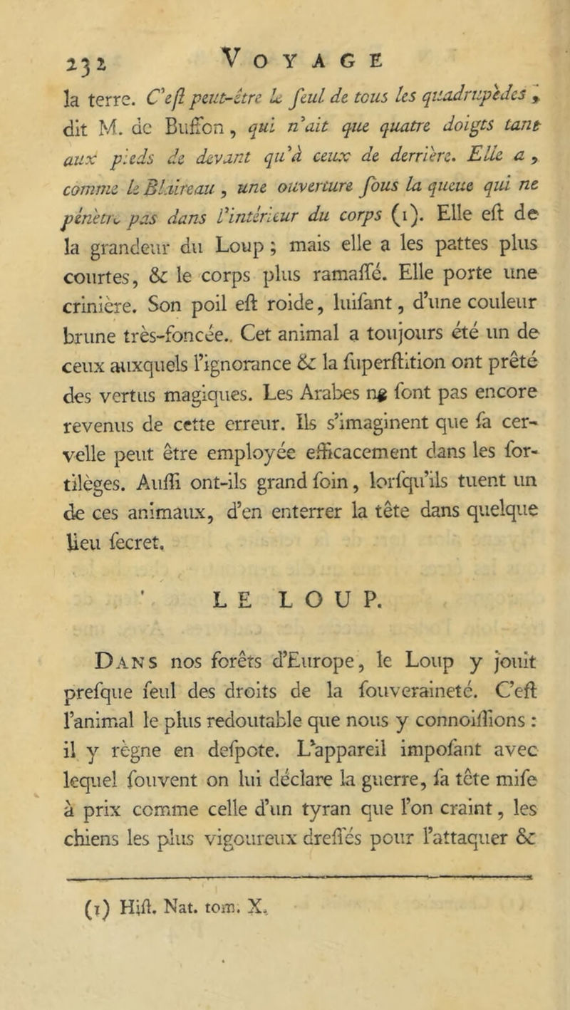 la terre. C'e fl peut-être U feul de tous les quadrupèdes * dit M. de BufFon, qui n ait que quatre doigts tant aux pieds de devant quà ceux de derrière. Elle a , comme le Blaireau , une ouverture fous la queue qui ne pénètre pas dans Vintérieur du corps (i). Elle eft de- là grandeur du Loup ; mais elle a les pattes plus courtes, &amp; le corps plus ramafte. Elle porte une crinière. Son poil eft roide, luifant, d’une couleur brune très-foncée.. Cet animal a toujours été un de ceux auxquels l’ignorance 6c la fuperftition ont prêté des vertus magiques. Les Arabes n# font pas encore revenus de cette erreur. Ils s’imaginent que fa cer- velle peut être employée efficacement dans les for- tilèges. Aufli ont-ils grand foin, lorfqu’ils tuent un de ces animaux, d’en enterrer la tête dans quelque lieu fecret. LE LOUP. Dans nos forêts d’Europe, le Loup y jouit prefque feul des droits de la fouveraineté. C’eft l’animal le plus redoutable que nous y connoiftions : il y règne en defpote. L’appareil impofant avec lequel fouvent on lui déclare la guerre, la tête mife à prix comme celle d’un tyran que l’on craint, les chiens les plus vigoureux dreftés pour l’attaquer &amp;