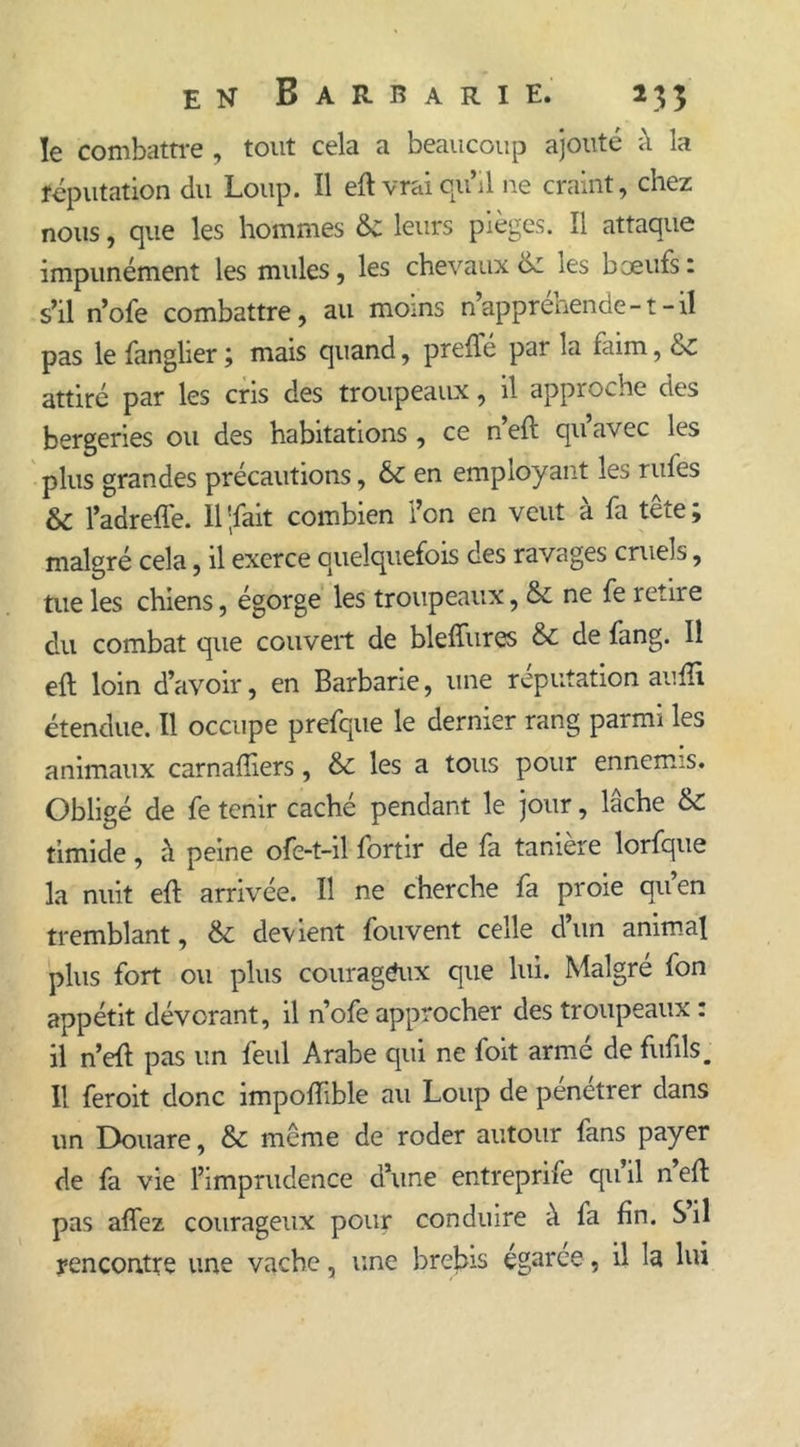 le combattre , tout cela a beaucoup ajouté à la réputation du Loup. Il eft vrai qu’il ne craint, chez nous, que les hommes 6c leurs pièges. Il attaque impunément les mules, les chevaux &amp; les bœufs: s’il n’ofe combattre, au moins n’appréhende-1-il pas le fanglier ; mais quand, prefié par la faim, 6c attiré par les cris des troupeaux, il approche des bergeries ou des habitations , ce n’eft qu’avec les plus grandes précautions, 6c en employant les rufes &amp; l’adreflè. Il'fait combien l’on en veut à fa tête; malgré cela, il exerce quelquefois des ravages cruels, tue les chiens, égorge les troupeaux, 6c ne fe retire du combat que couvert de bleffures 6c de fang. Il eft loin d’avoir, en Barbarie, une réputation aufti étendue. Il occupe prefque le dernier rang parmi les animaux carnafiiers, 6c les a tous pour ennemis. Obligé de fe tenir caché pendant le jour, lâche 6c timide, à peine ofe-t-il fortir de fa taniere lorfque la nuit eft arrivée. Il ne cherche fa proie qu’en tremblant, 6c devient fouvent celle d’un animal plus fort ou plus couragéux que lui. Malgré fon appétit dévorant, il n ofe approcher des troupeaux : il n’eft pas un feul Arabe qui ne foit armé de fufils. Il feroit donc impoiïible au Loup de pénétrer dans un Douare, 6c même de roder autour fans payer de fa vie l’imprudence d’une entreprife qu il n eft pas affez courageux pour conduire à fa fin. S il rencontre une vache, une brebis égarée, il la lui