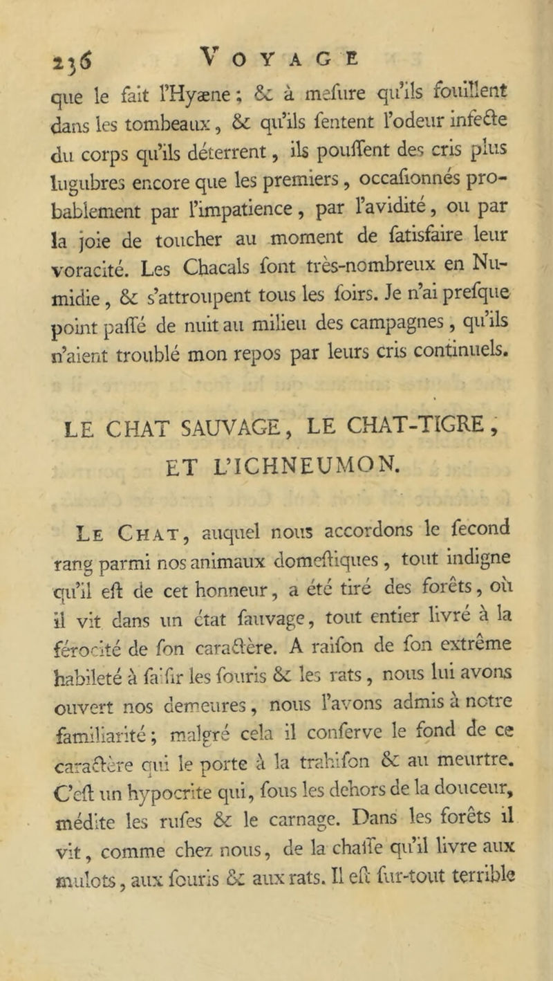 que le fait l’Hyæne ; £c à mefure qu’ils fouillent dans les tombeaux, & qu’ils fentent l’odeur infede du corps qu’ils déterrent, ils pouffent des cris plus lugubres encore que les premiers, occafionnés pro- bablement par l’impatience , par 1 avidité, ou par la joie de toucher au moment de fatisfaire leur voracité. Les Chacals font très-nombreux en Nu- midie, & s’attroupent tous les loirs. Je n’ai prefque point paffé de nuit au milieu des campagnes, qu’ils n’aient troublé mon repos par leurs cris continuels. LE CHAT SAUVAGE, LE CHAT-TIGRE, ET L’ICHNEUMON. Le Chat, auquel nous accordons le fécond rang parmi nos animaux domefliques , tout indigne qu’il eft de cet honneur, a été tiré ces forets, où il vit dans un ctat fauvage, tout entier livré a la férocité de fon caradère. A raifon de fon extrême habileté à fa'fir les fouris & les rats , nous lui avons ouvert nos demeures, nous lavons admisanctie familiarité ; malgré cela il conferve le fond de ce caradère oui le porte à la trahifon & au meurtre. C’eff un hypocrite qui, fous les dehors de la douceur, médite les rufes & le carnage. Dans les forêts il vit, comme chez nous, de la chaffe qu’il livre aux mulots, aux fouris & aux rats. Il efc fur-tout terrible
